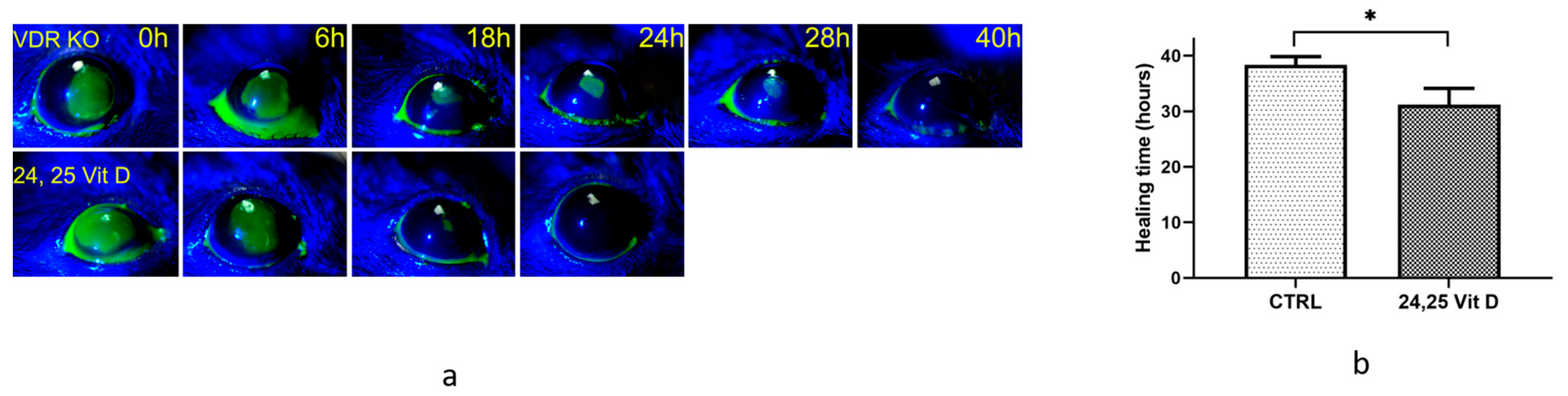 Biomolecules 13 01065 g004