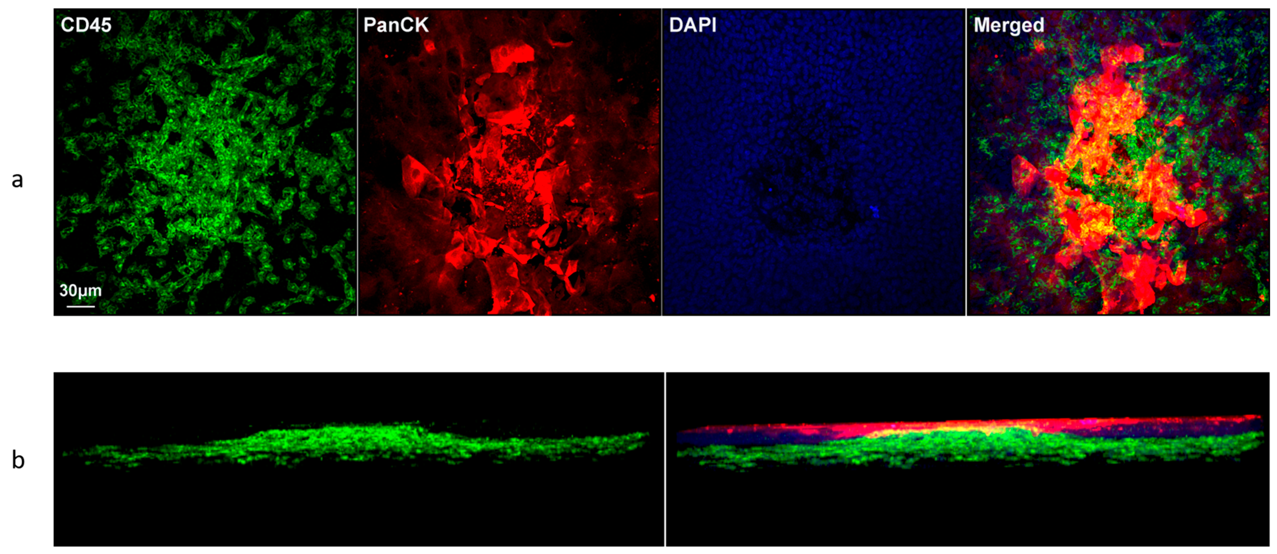 Biomolecules 13 01065 g006