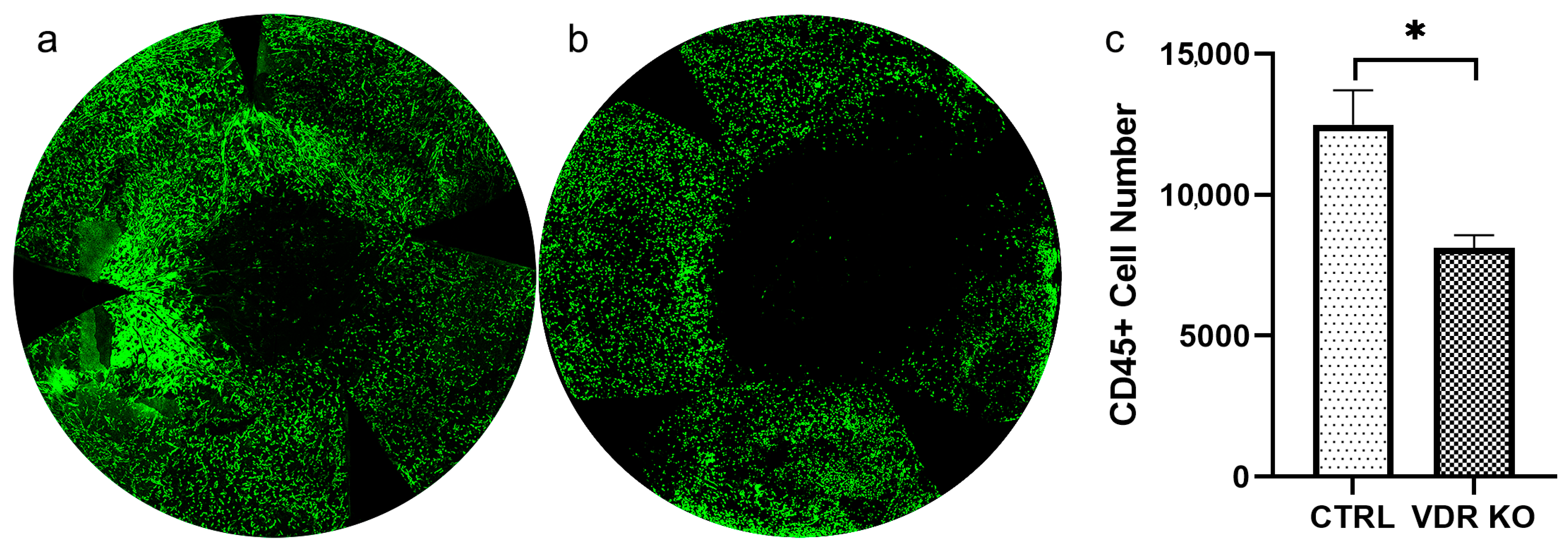 Biomolecules 13 01065 g008
