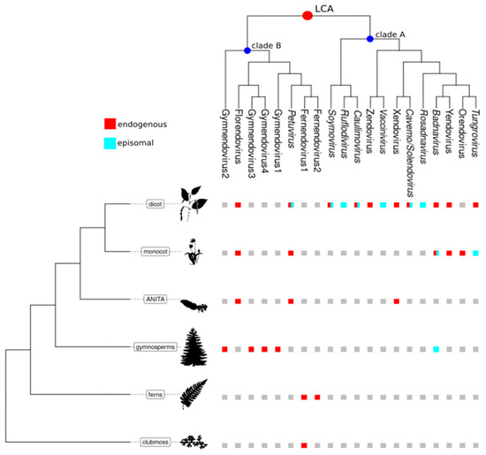 Biomolecules 13 01069 g003