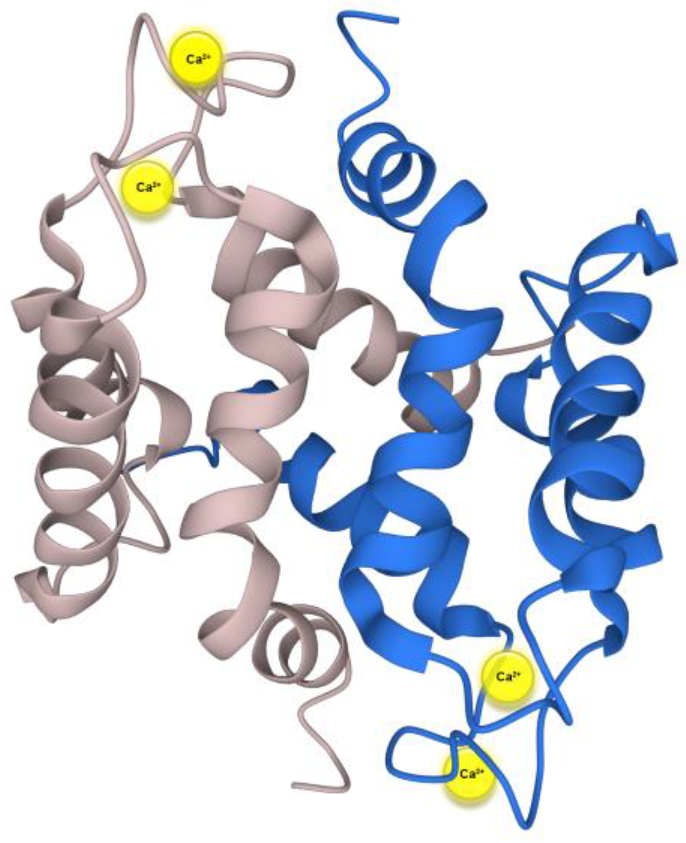 Biomolecules 13 01070 g001