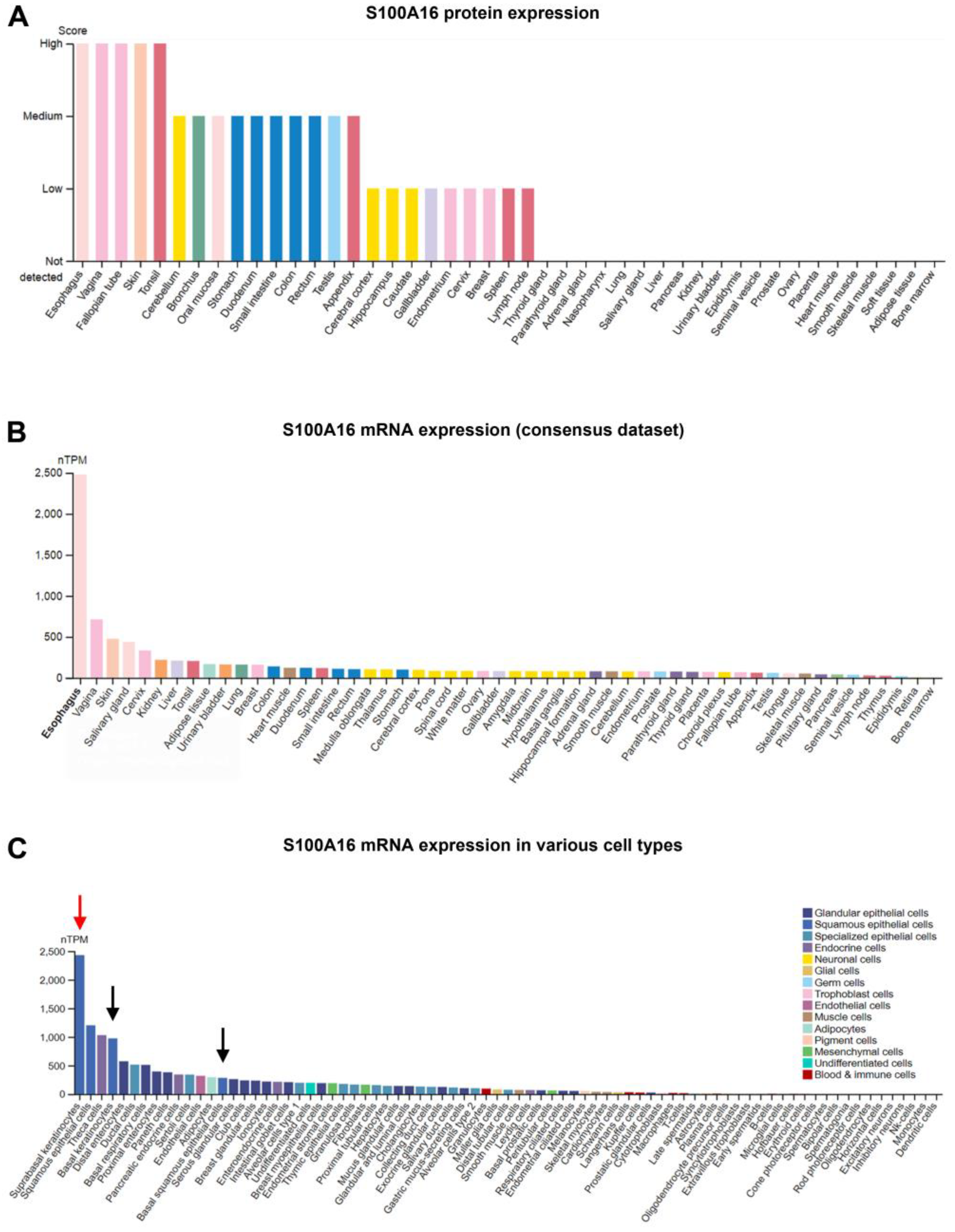 Biomolecules 13 01070 g002