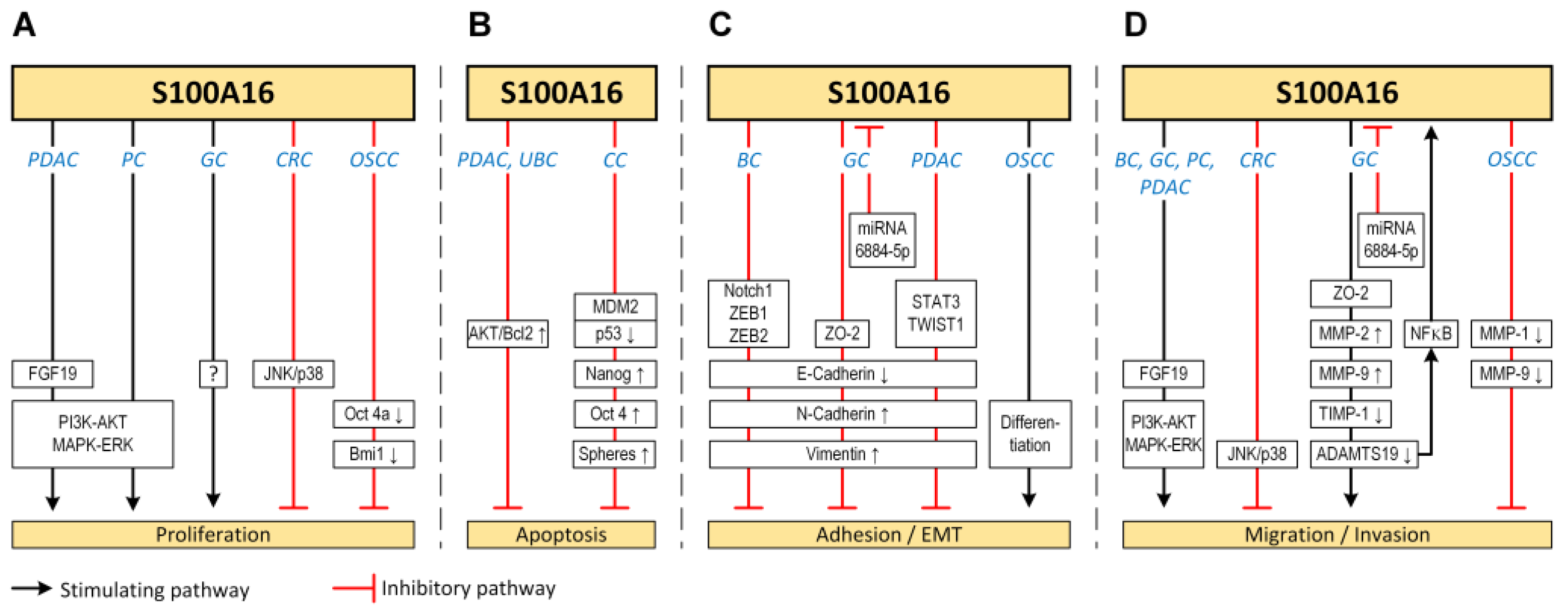 Biomolecules 13 01070 g003