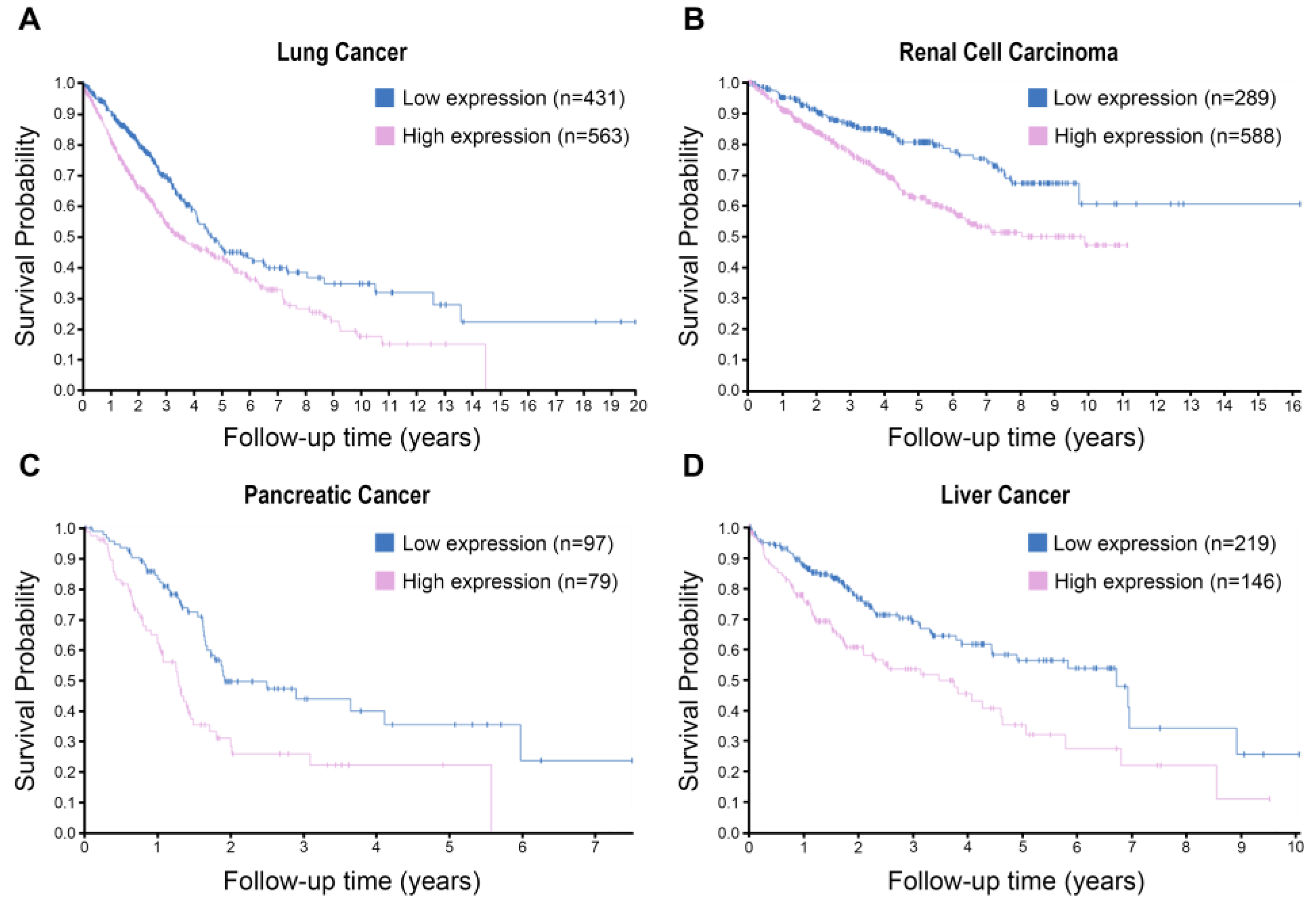 Biomolecules 13 01070 g004