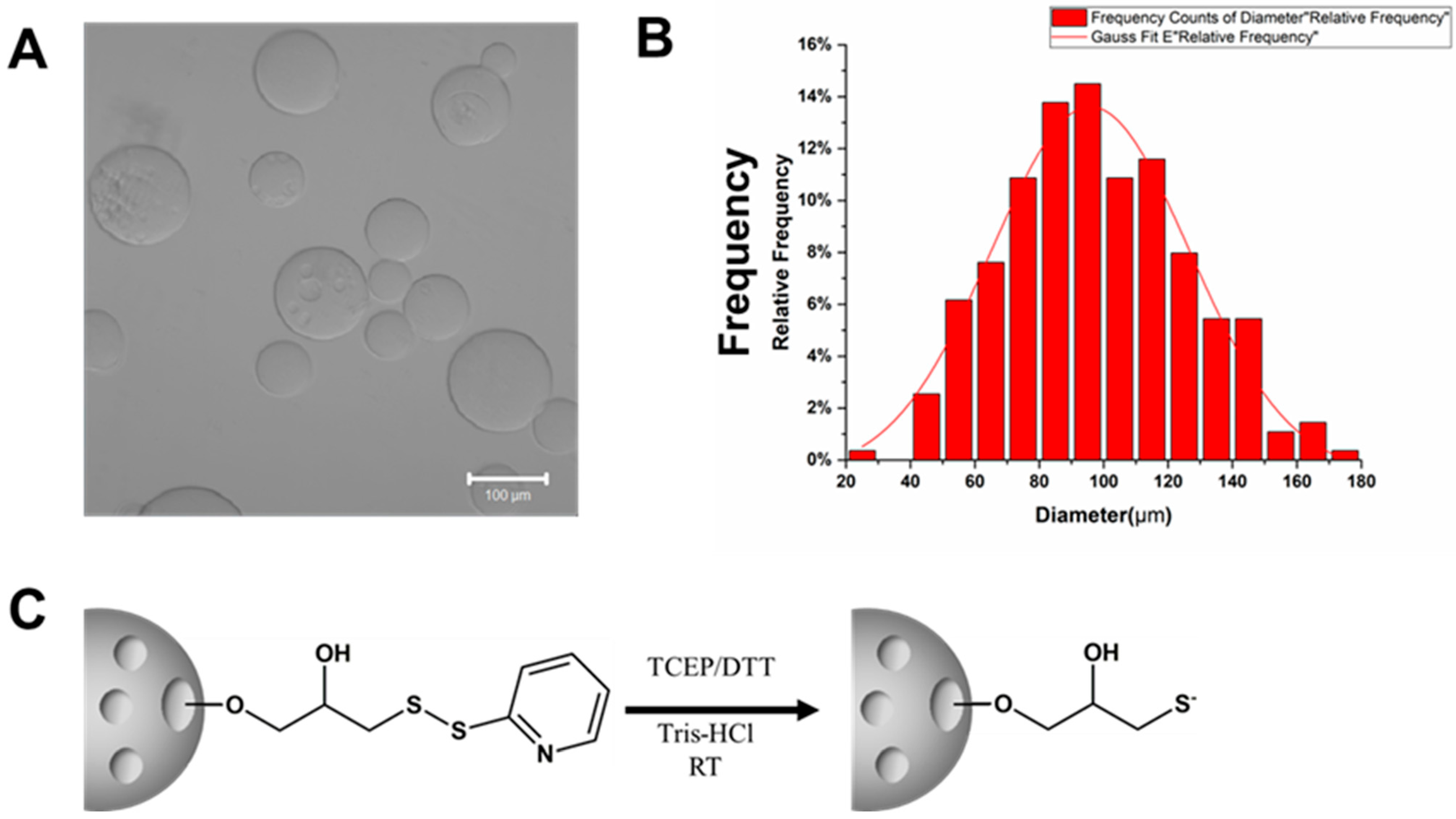 Biomolecules 13 01071 g002