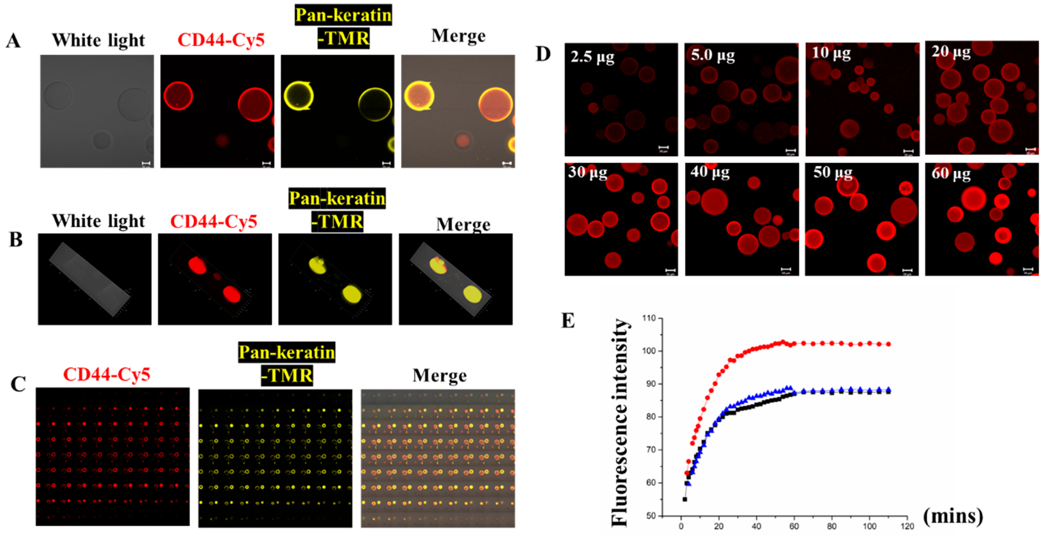 Biomolecules 13 01071 g003