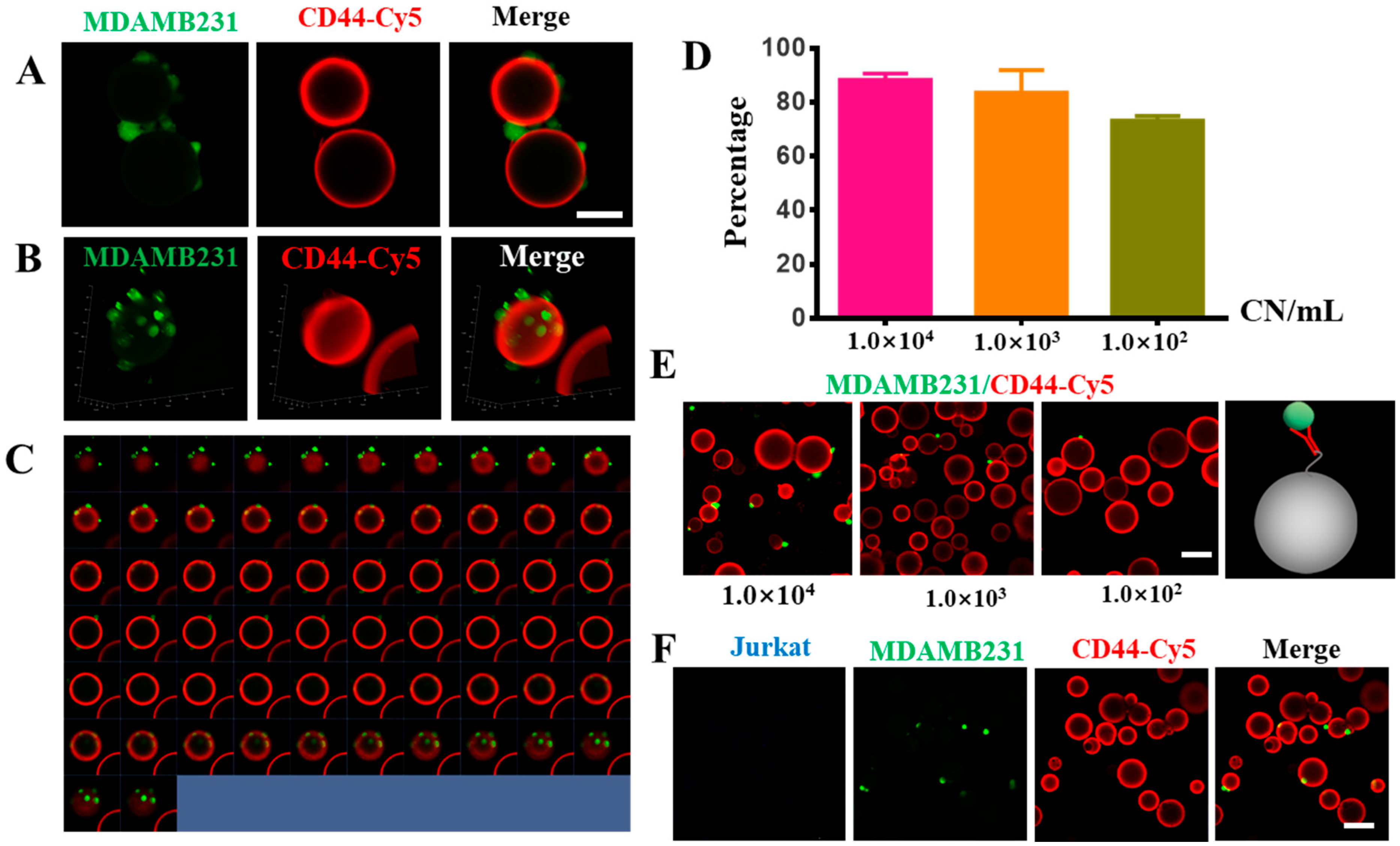 Biomolecules 13 01071 g004