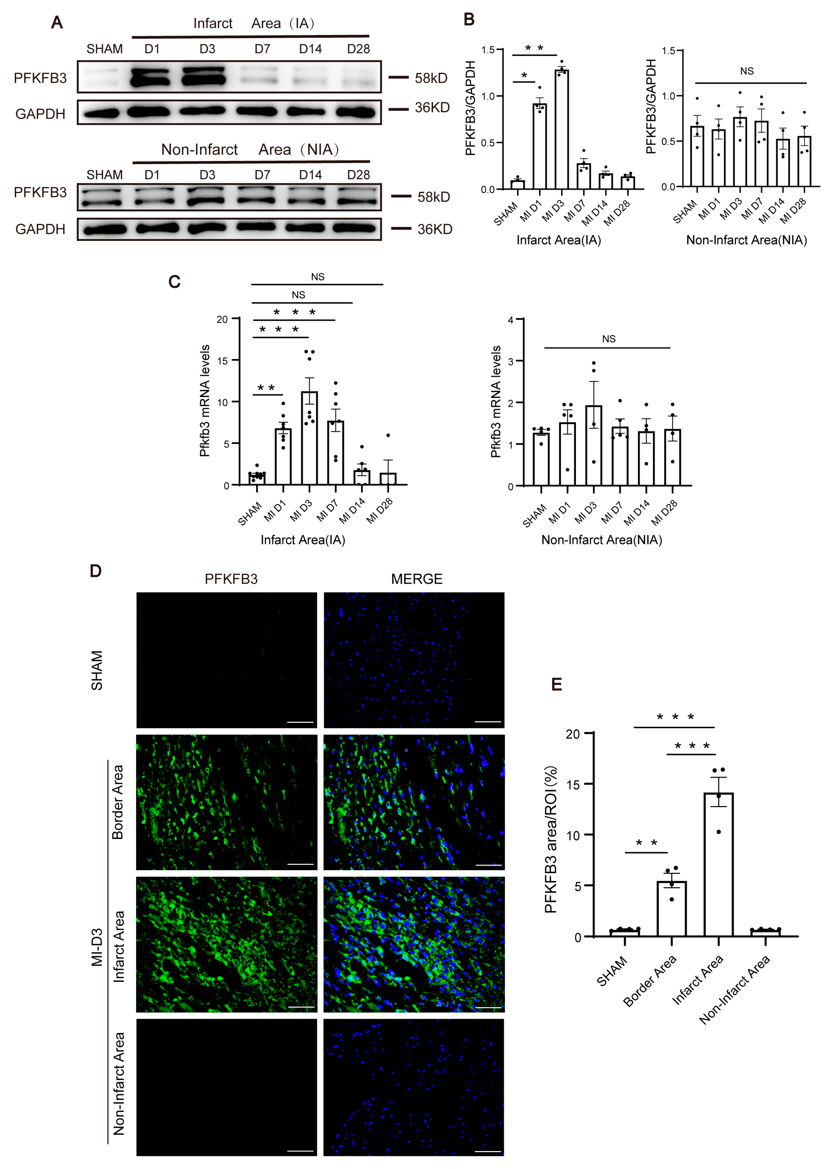 Biomolecules 13 01072 g001