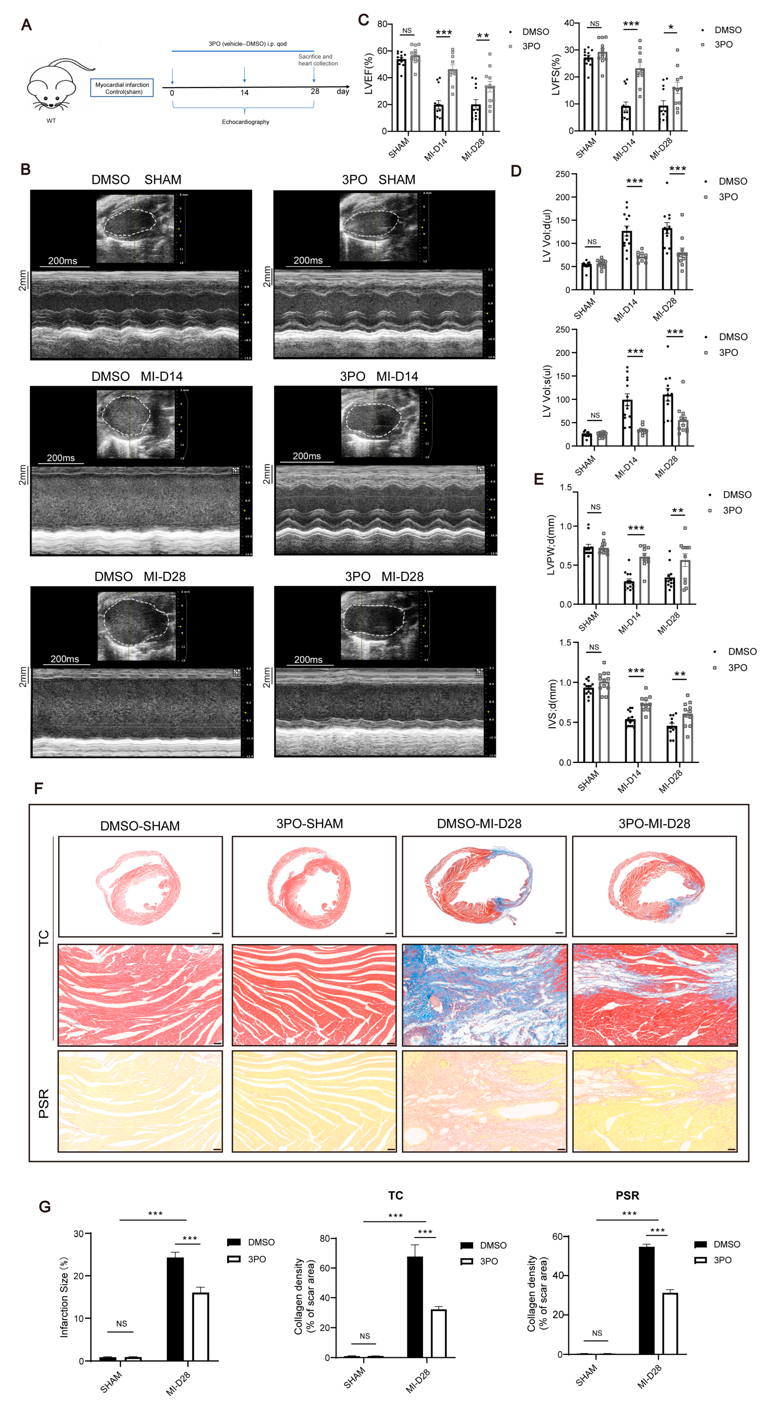 Biomolecules 13 01072 g002