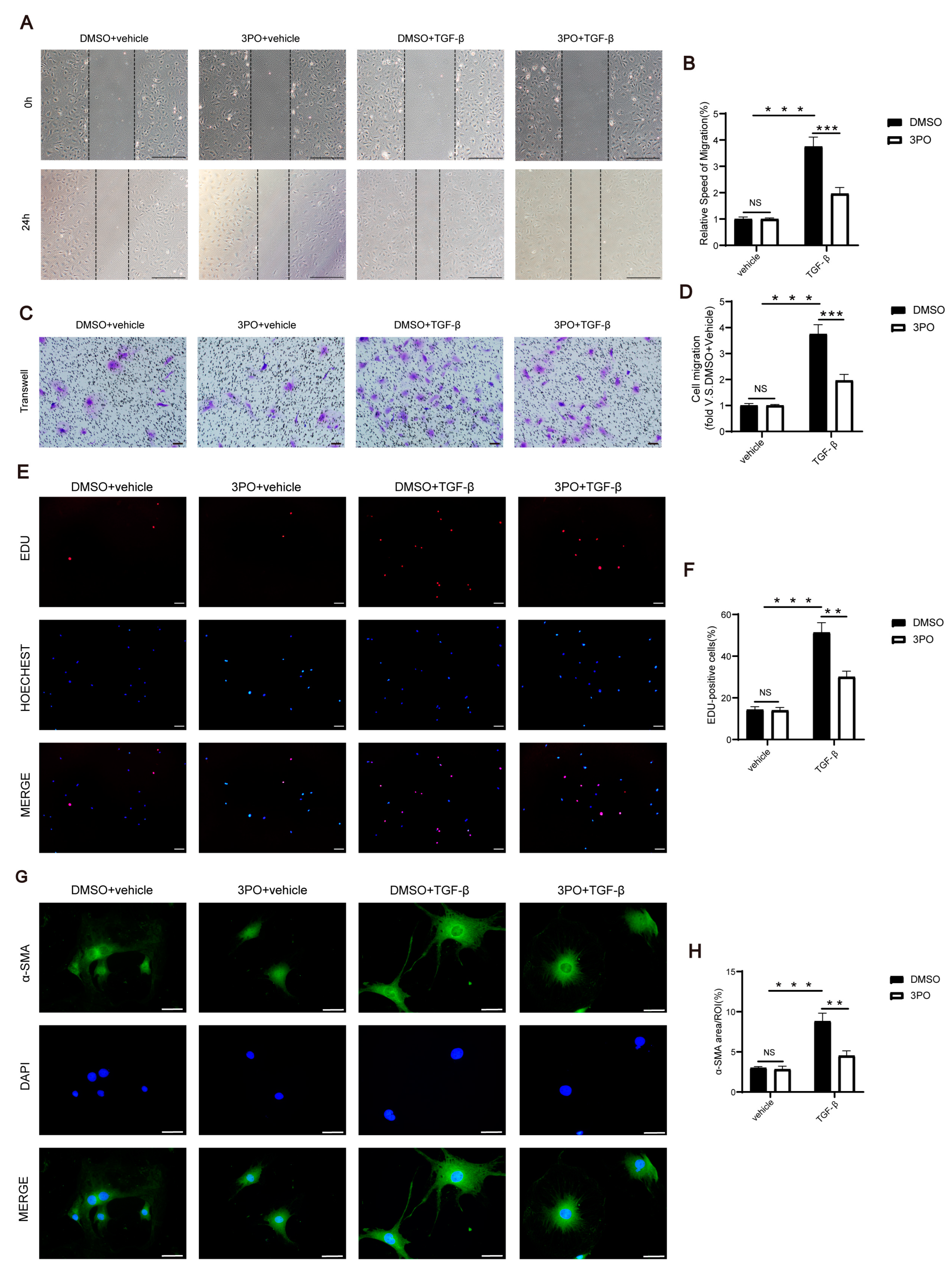Biomolecules 13 01072 g006