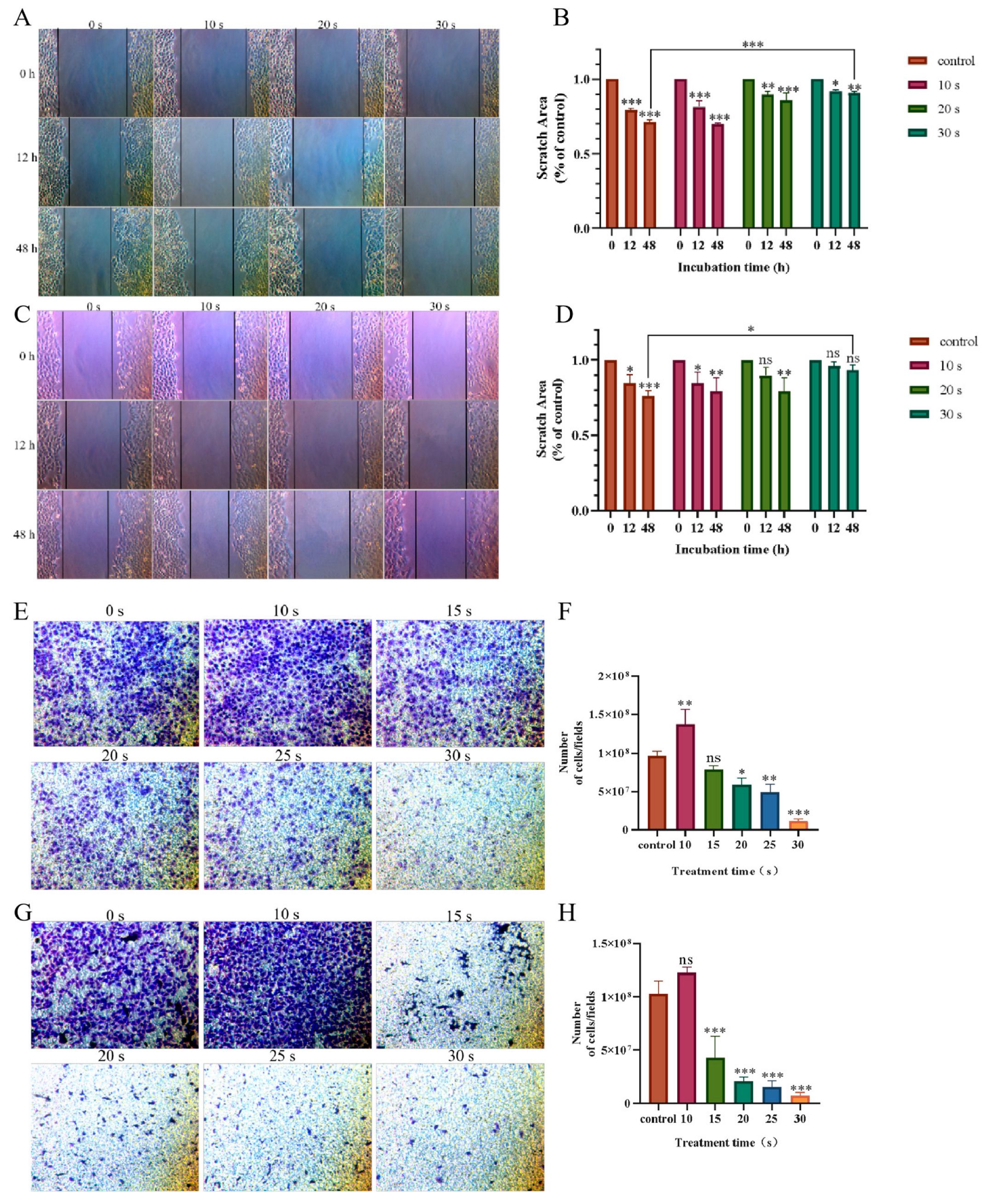 Biomolecules 13 01073 g003