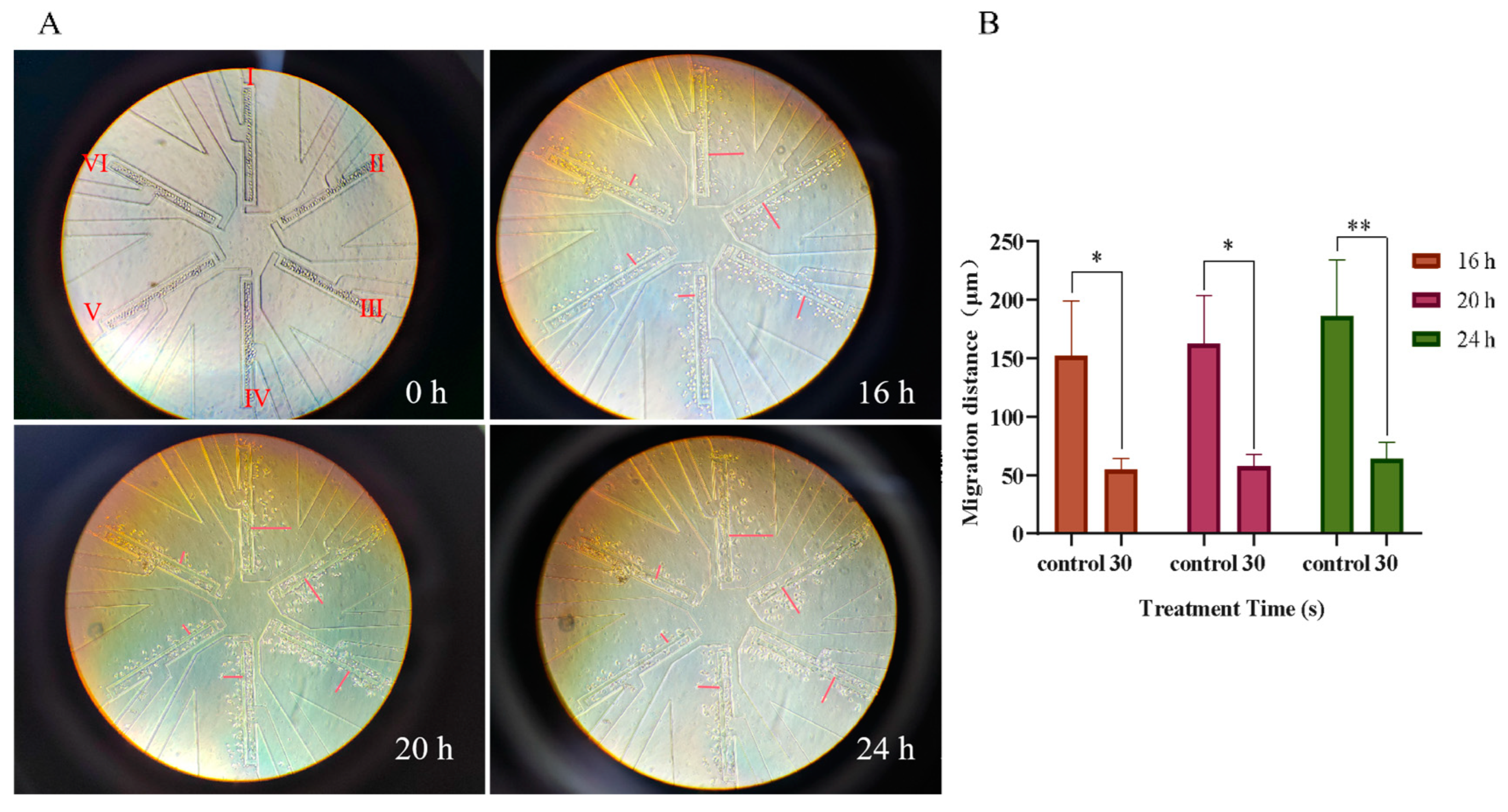 Biomolecules 13 01073 g004