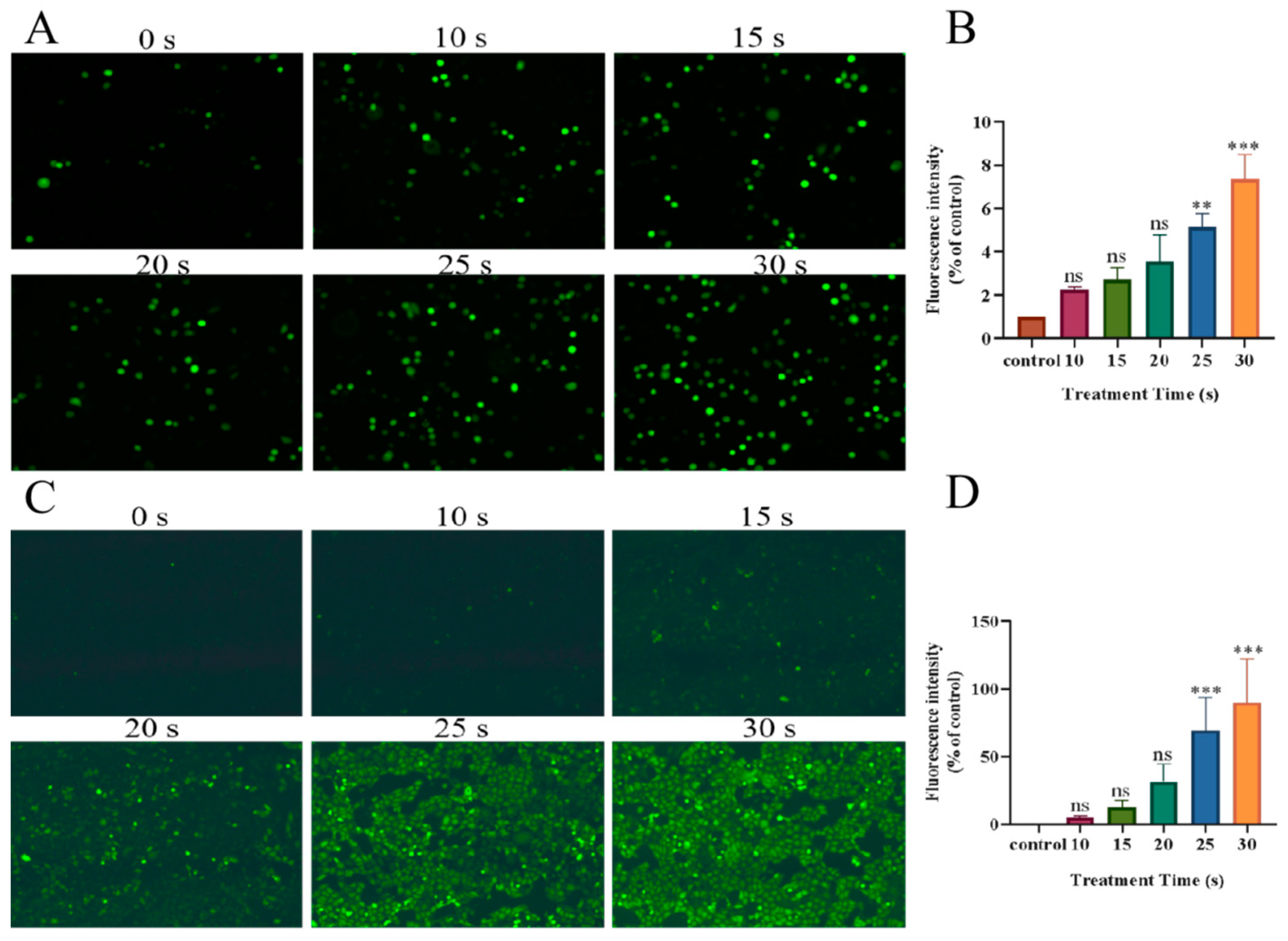 Biomolecules 13 01073 g006