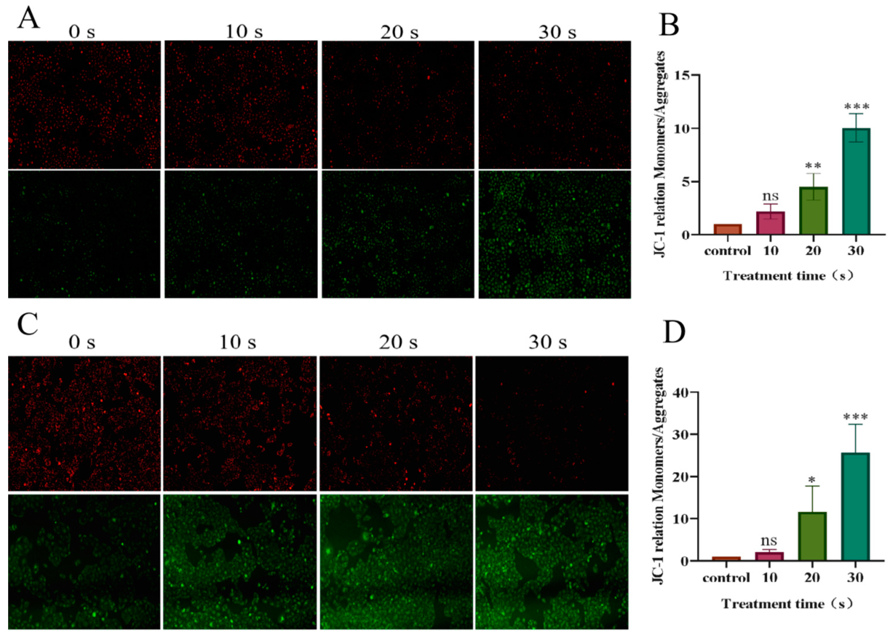 Biomolecules 13 01073 g008