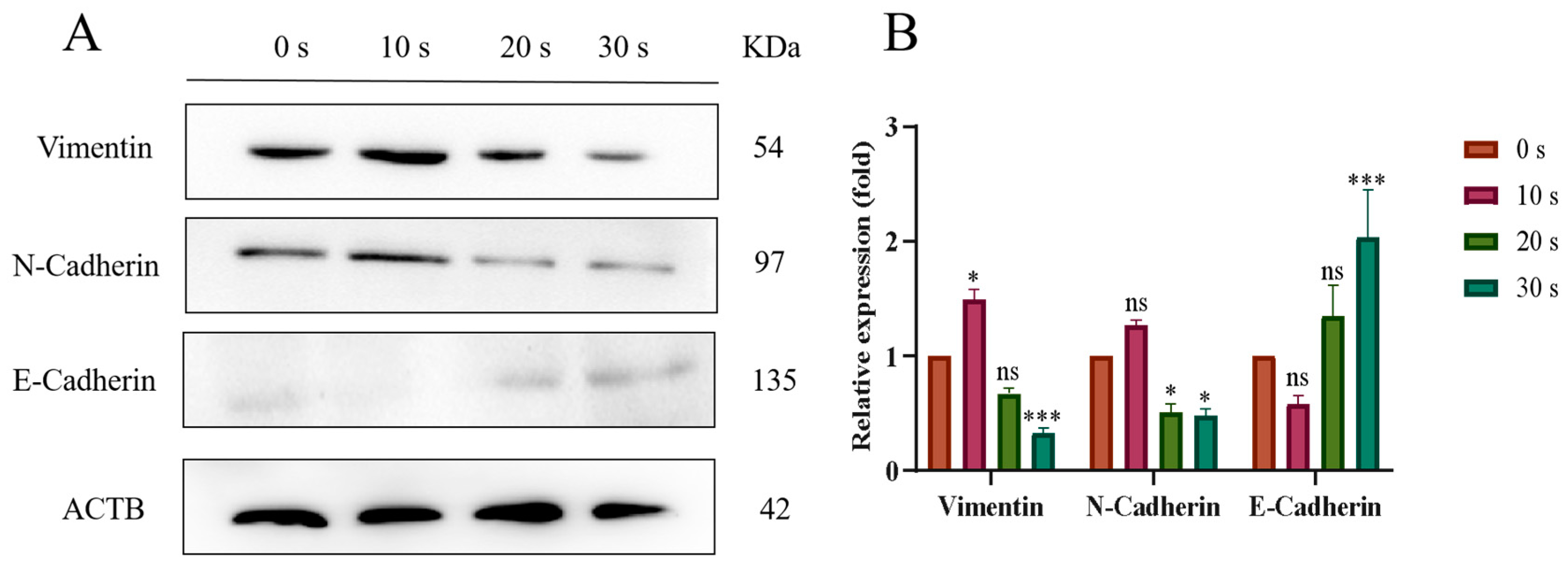 Biomolecules 13 01073 g010