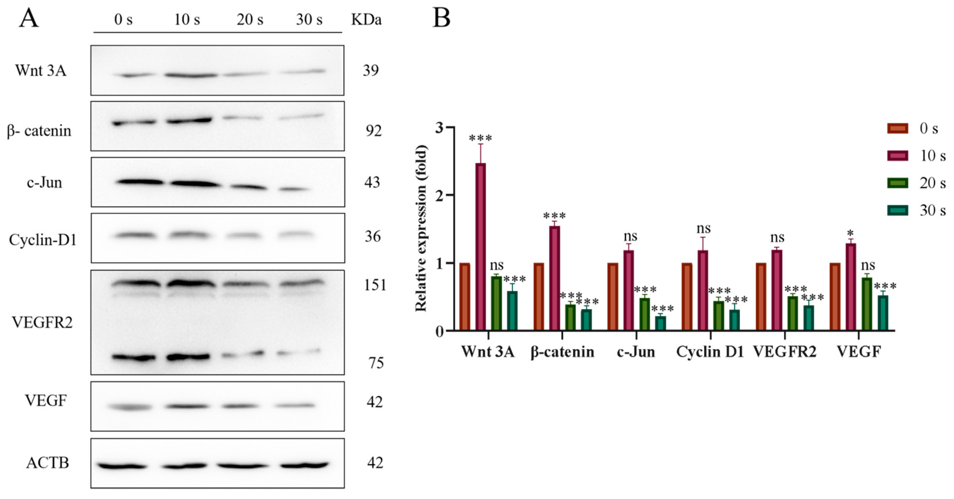 Biomolecules 13 01073 g011