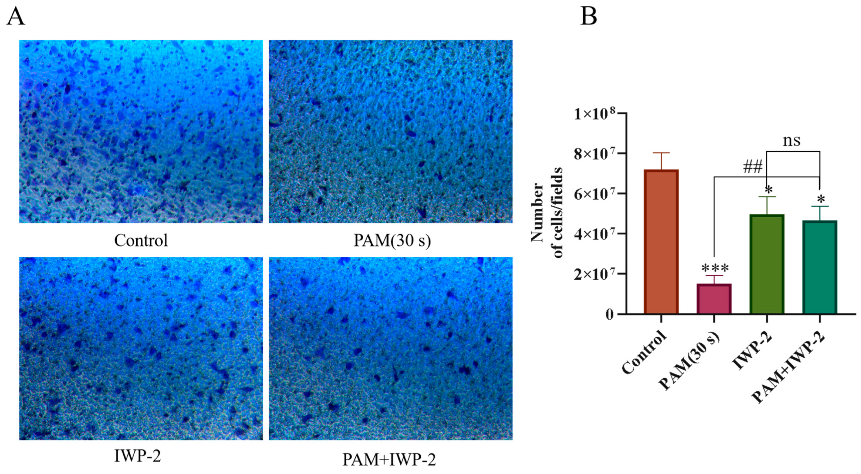 Biomolecules 13 01073 g012