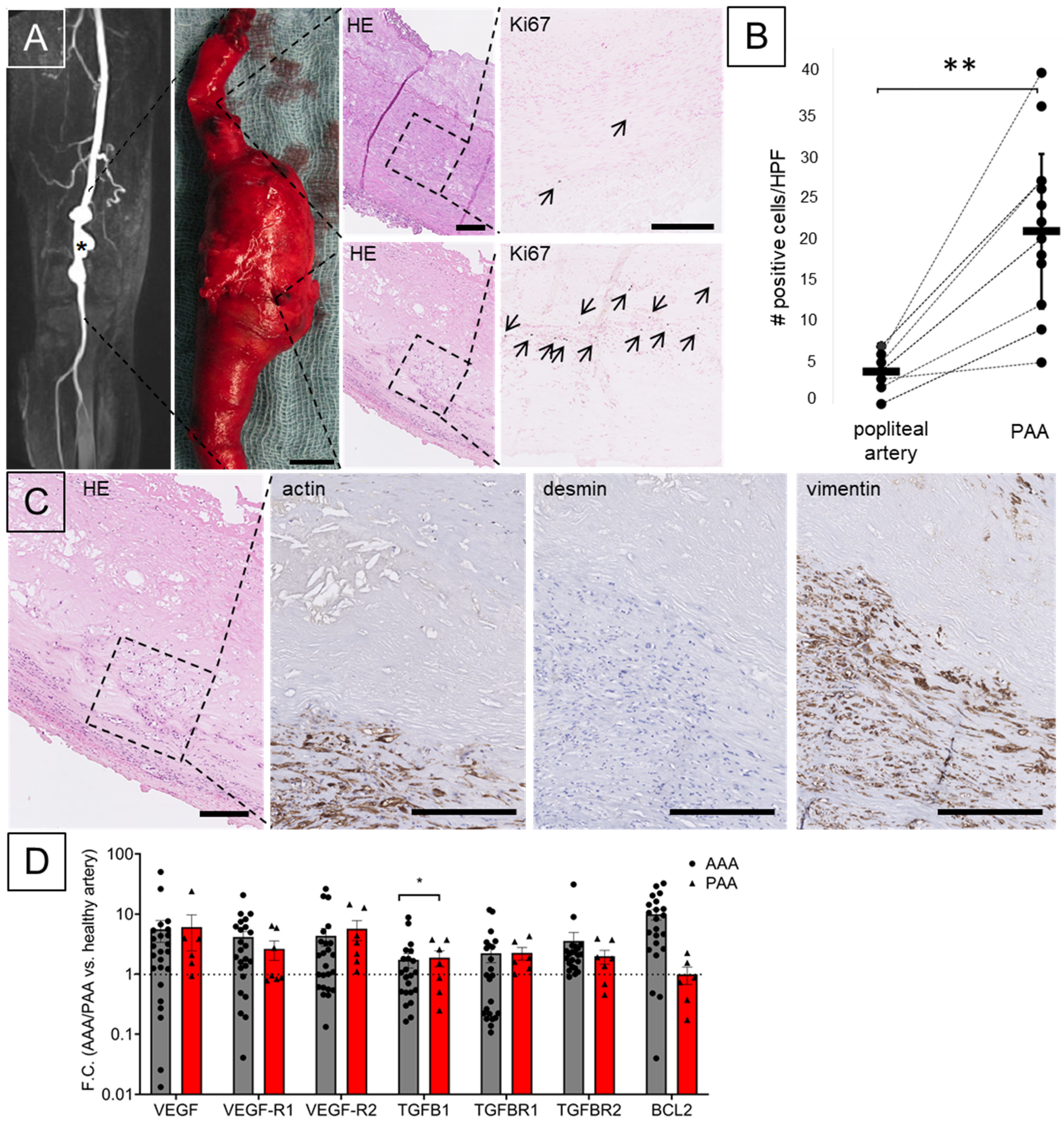 Biomolecules 13 01074 g001 Biomolecules 13 01074 g001