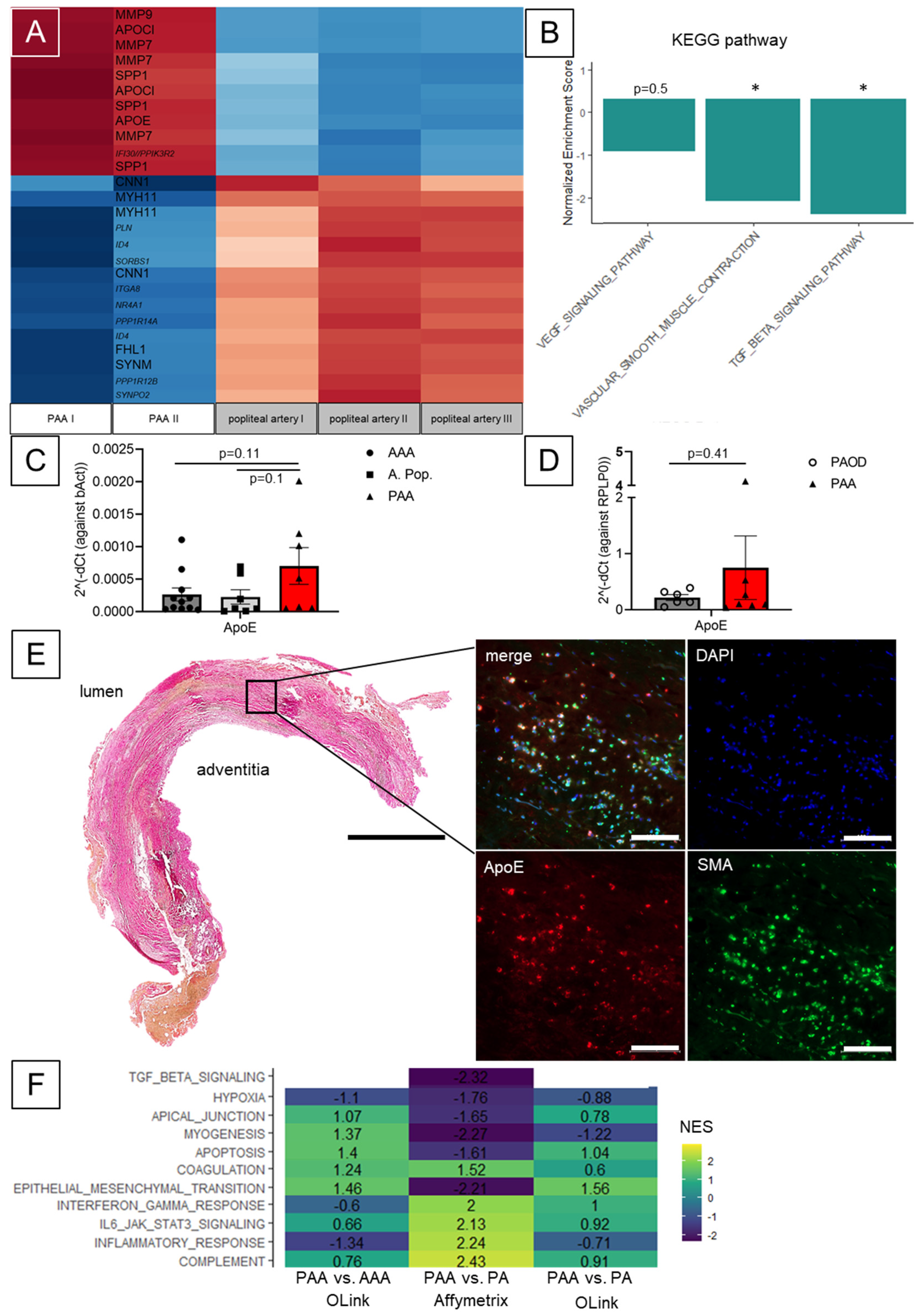 Biomolecules 13 01074 g002 Biomolecules 13 01074 g002