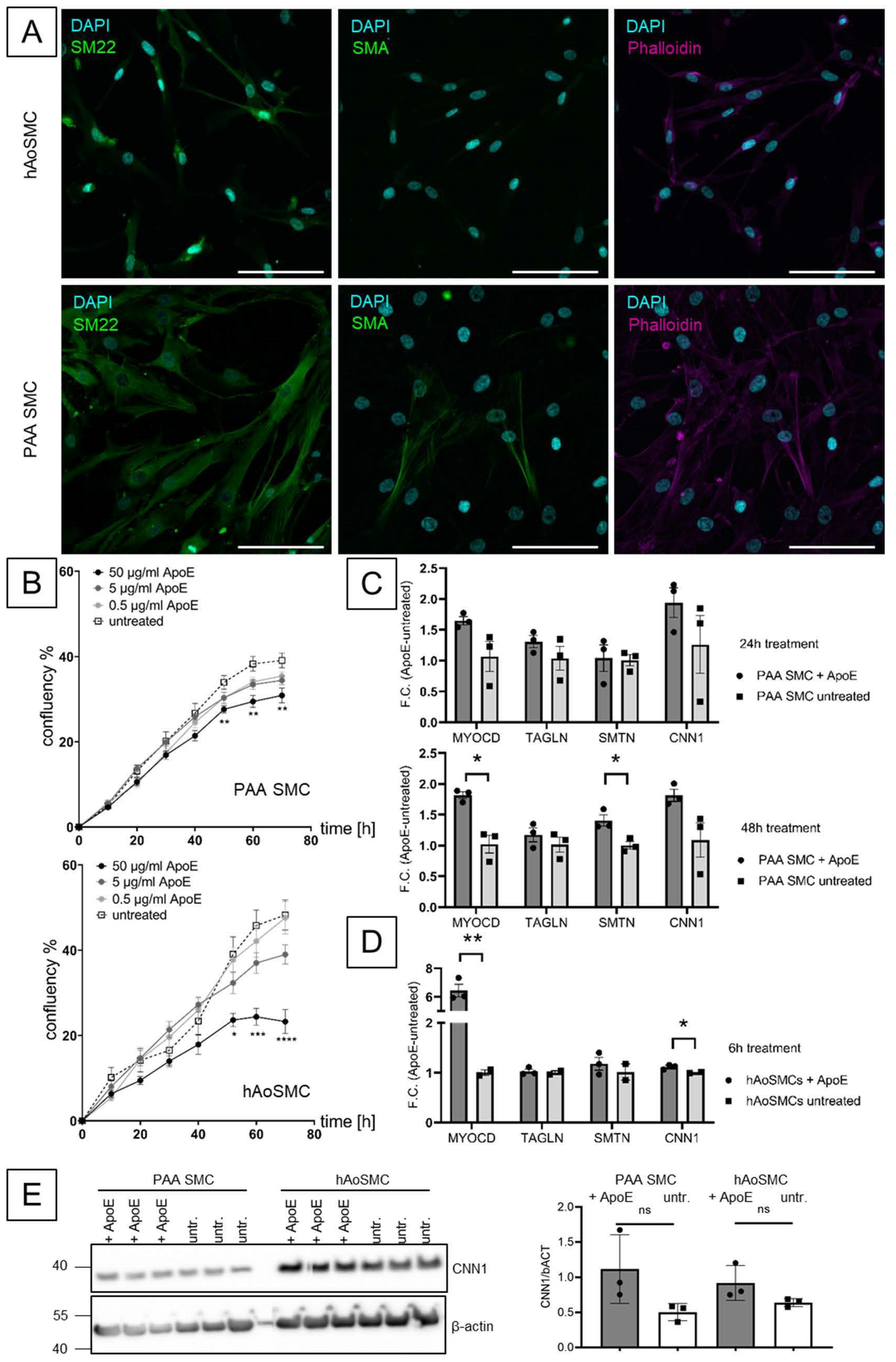 Biomolecules 13 01074 g003 Biomolecules 13 01074 g003