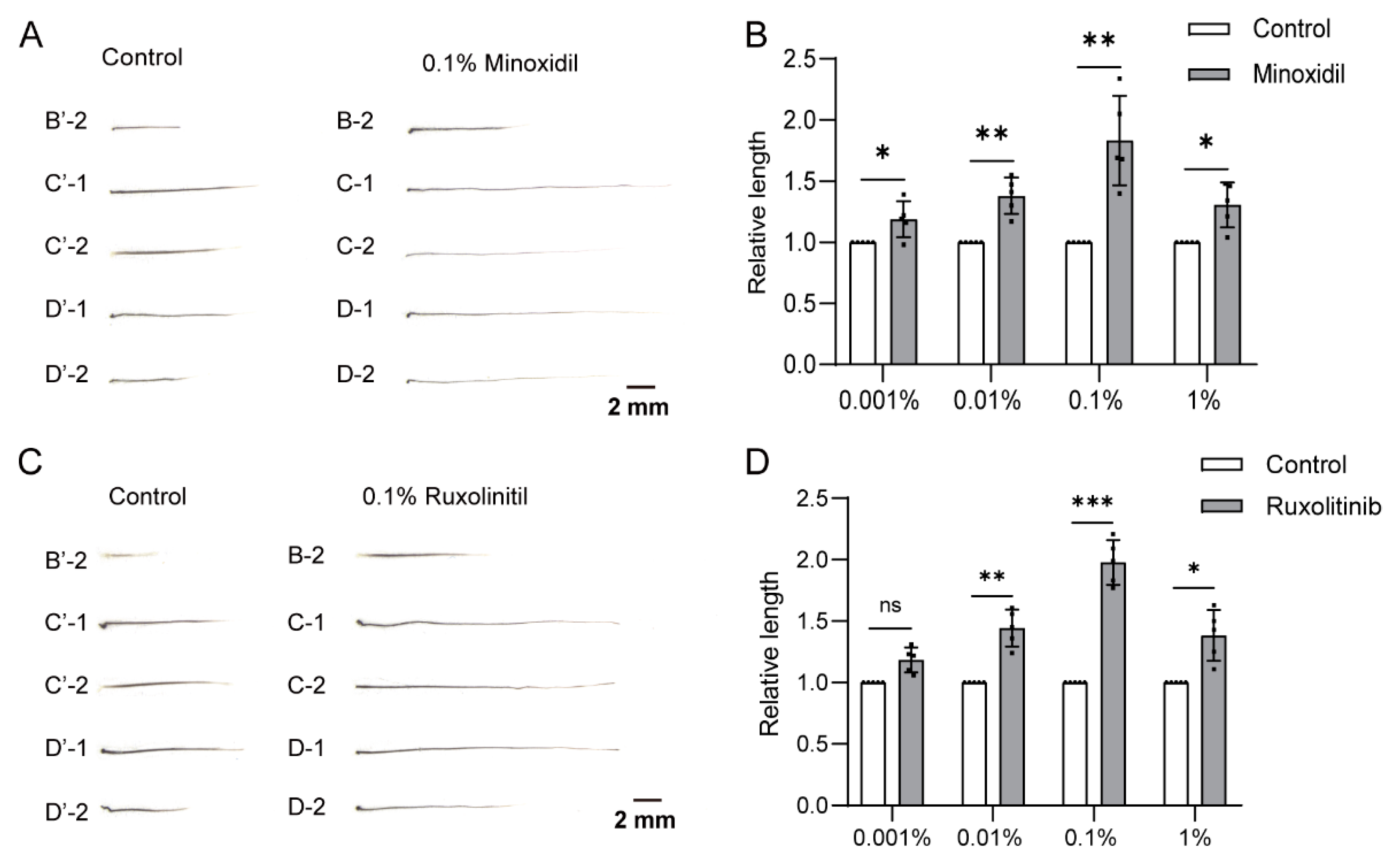 Biomolecules 13 01076 g004
