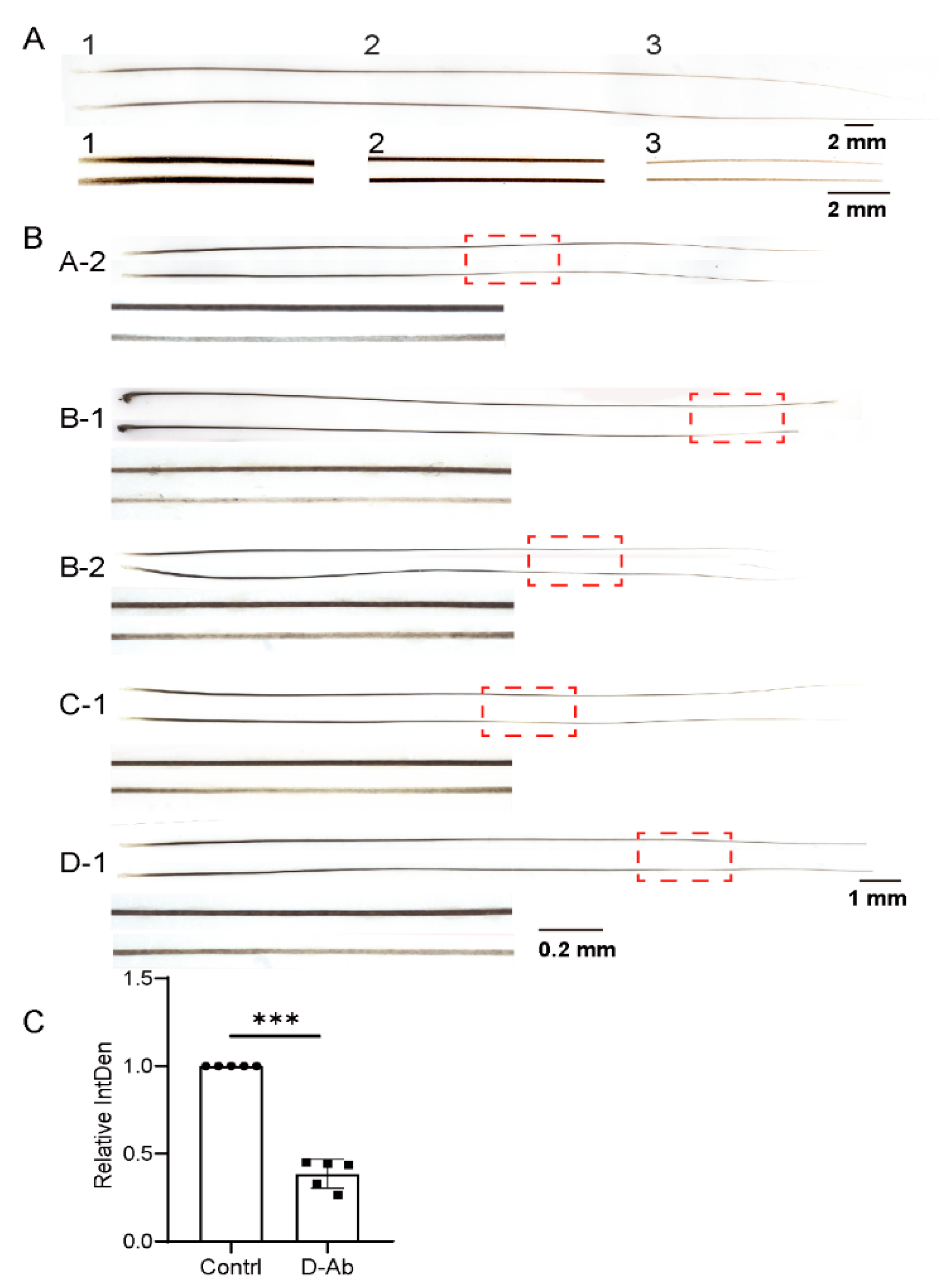 Biomolecules 13 01076 g005