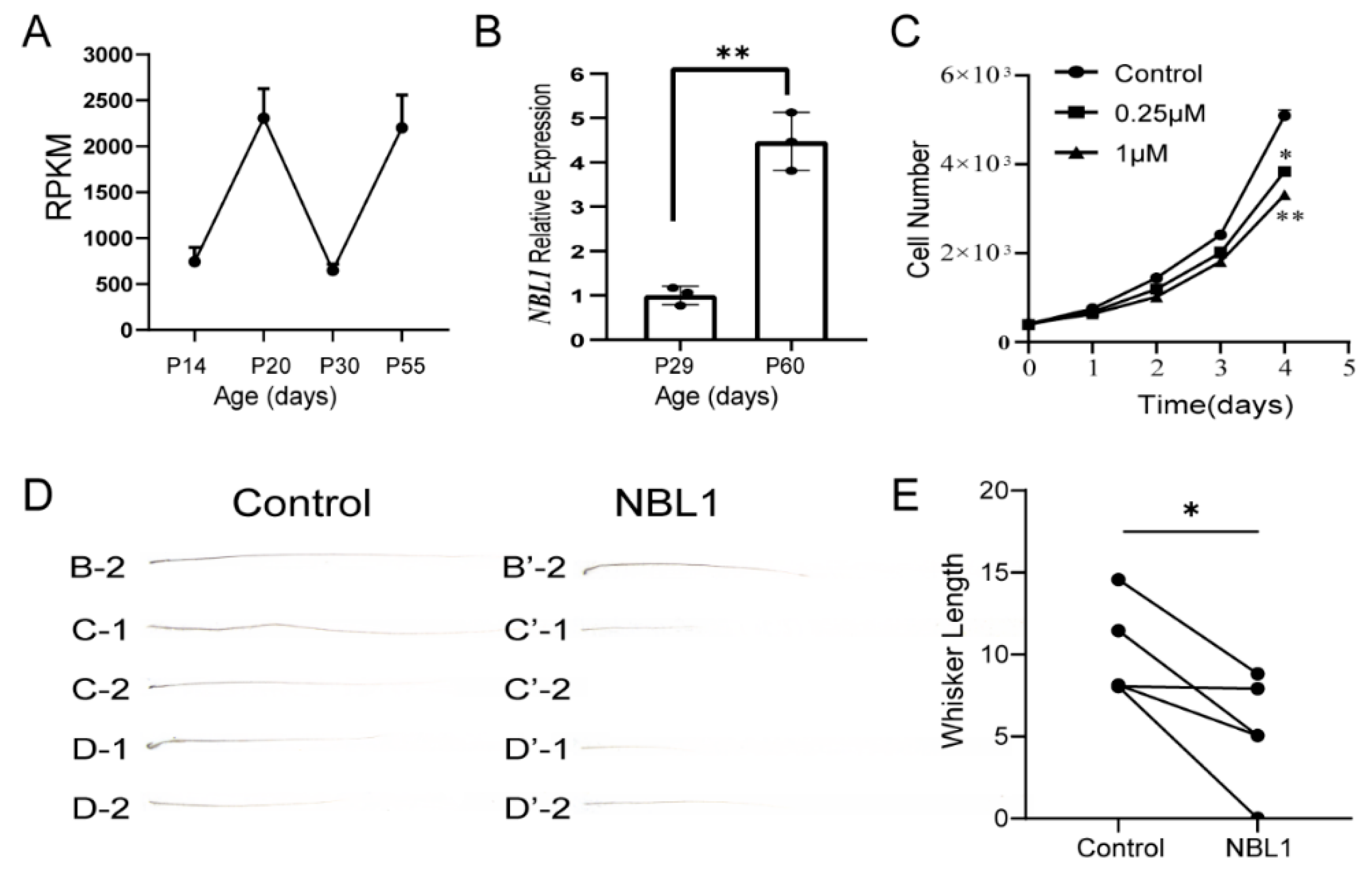 Biomolecules 13 01076 g006