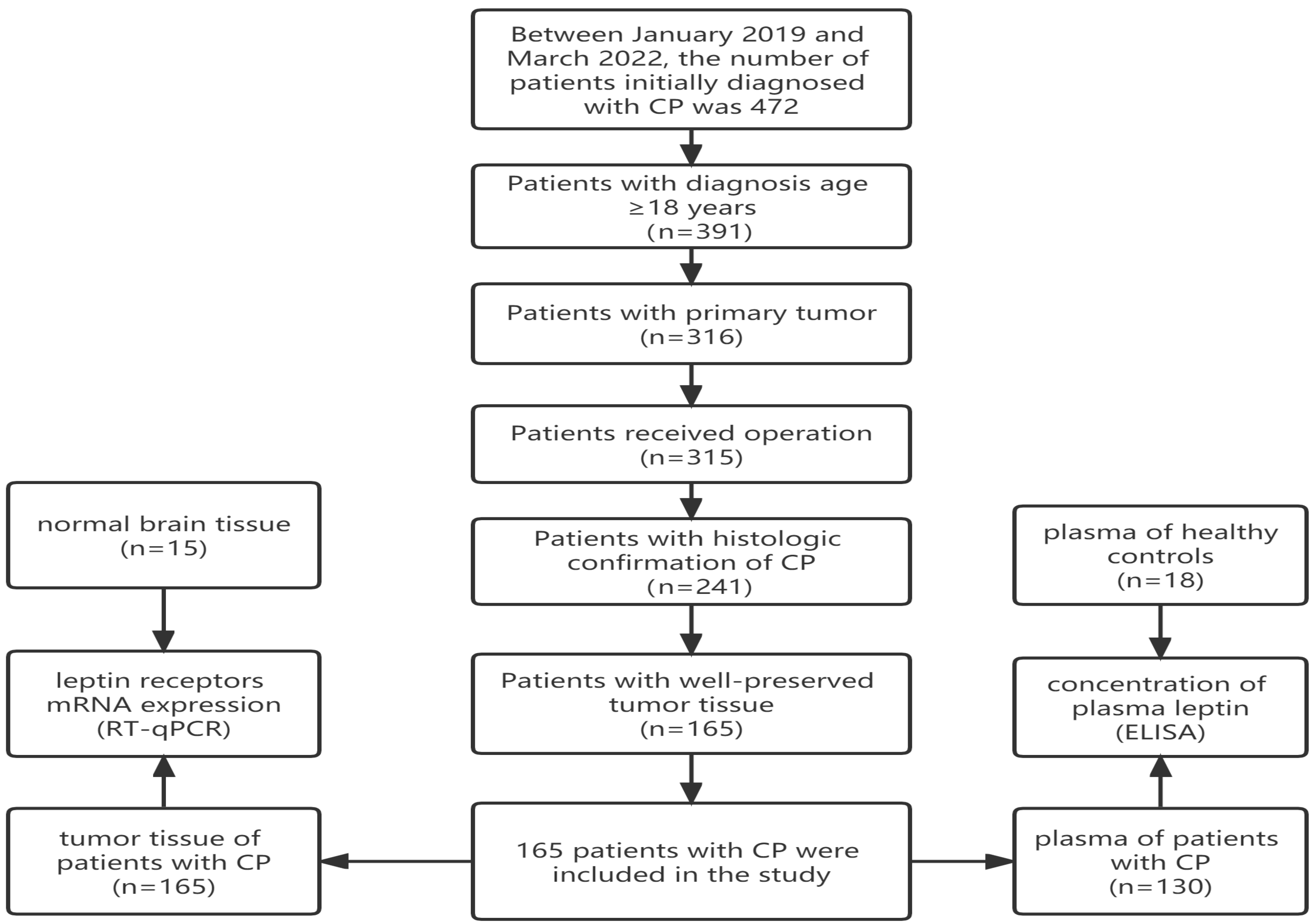 Biomolecules 13 01078 g001 Biomolecules 13 01078 g001