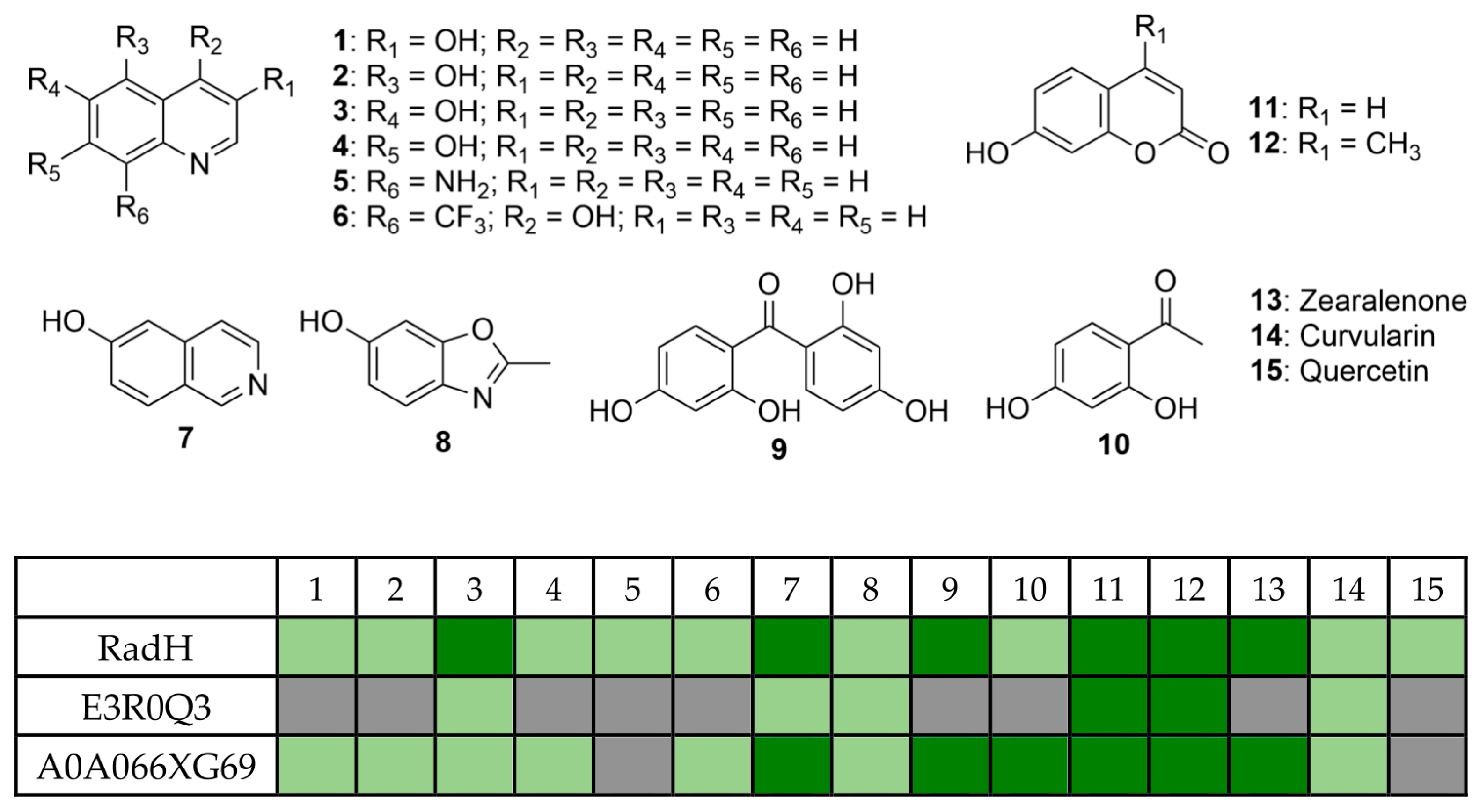 Biomolecules 13 01081 g002