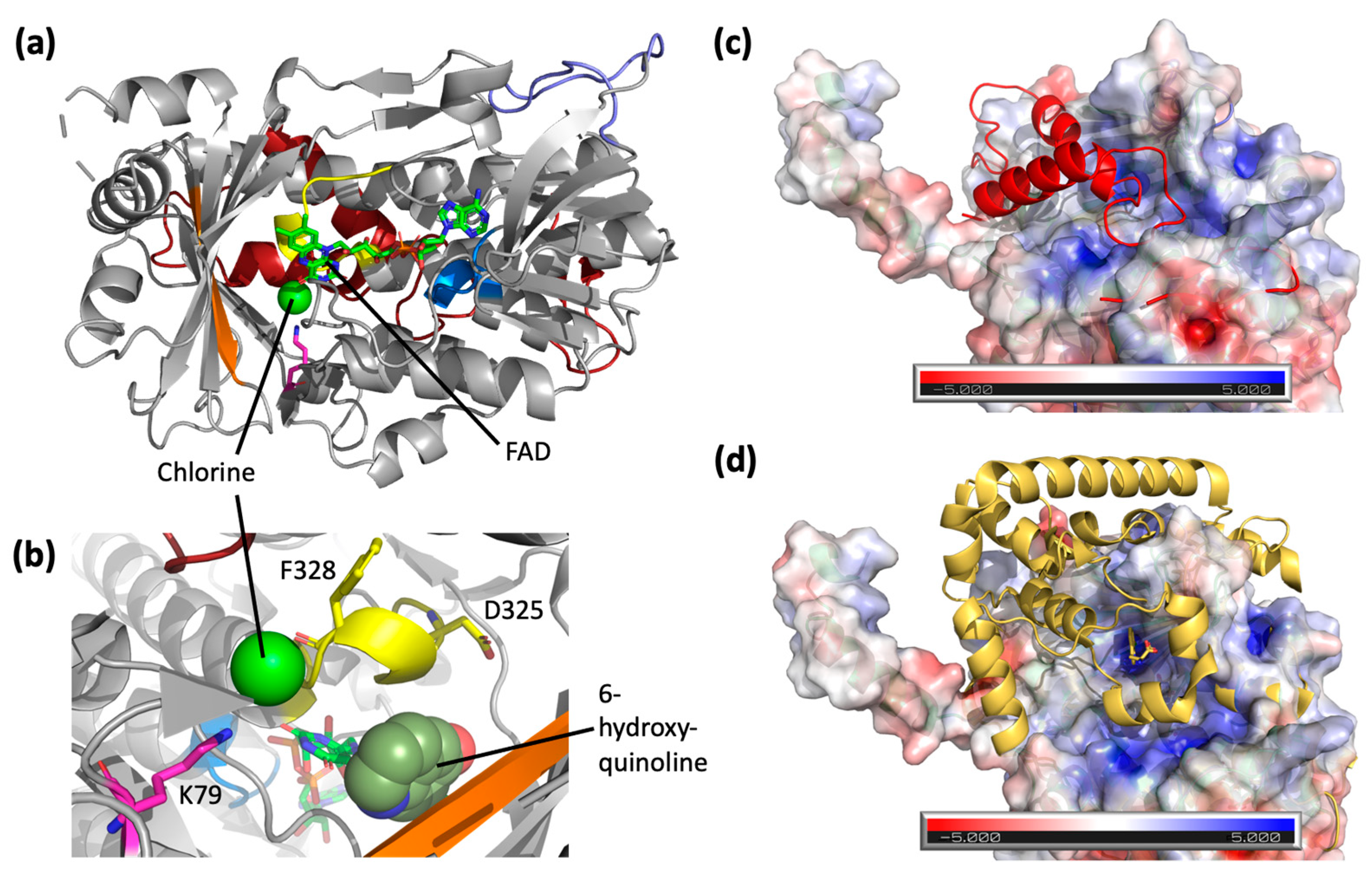 Biomolecules 13 01081 g004