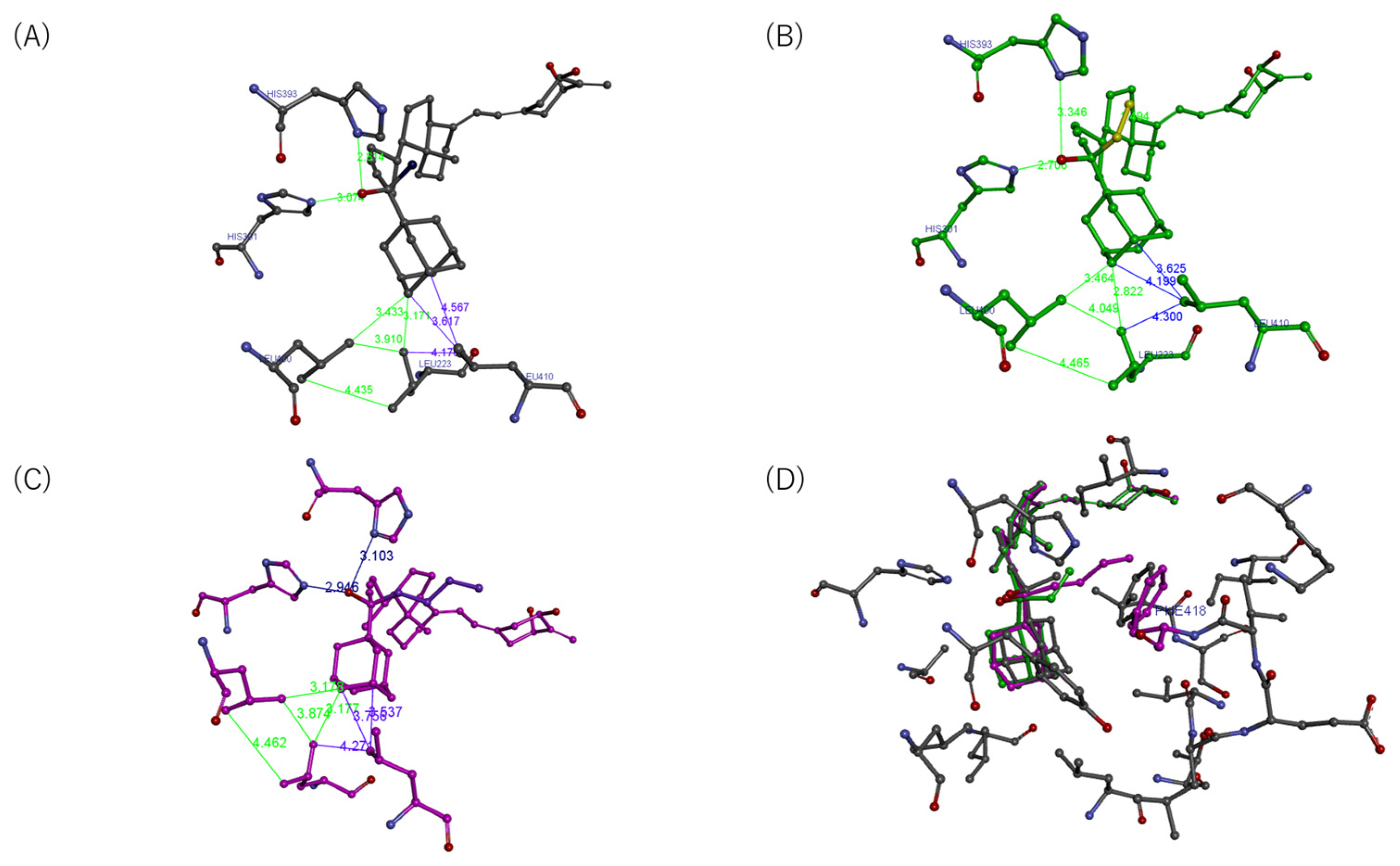 Biomolecules 13 01082 g006