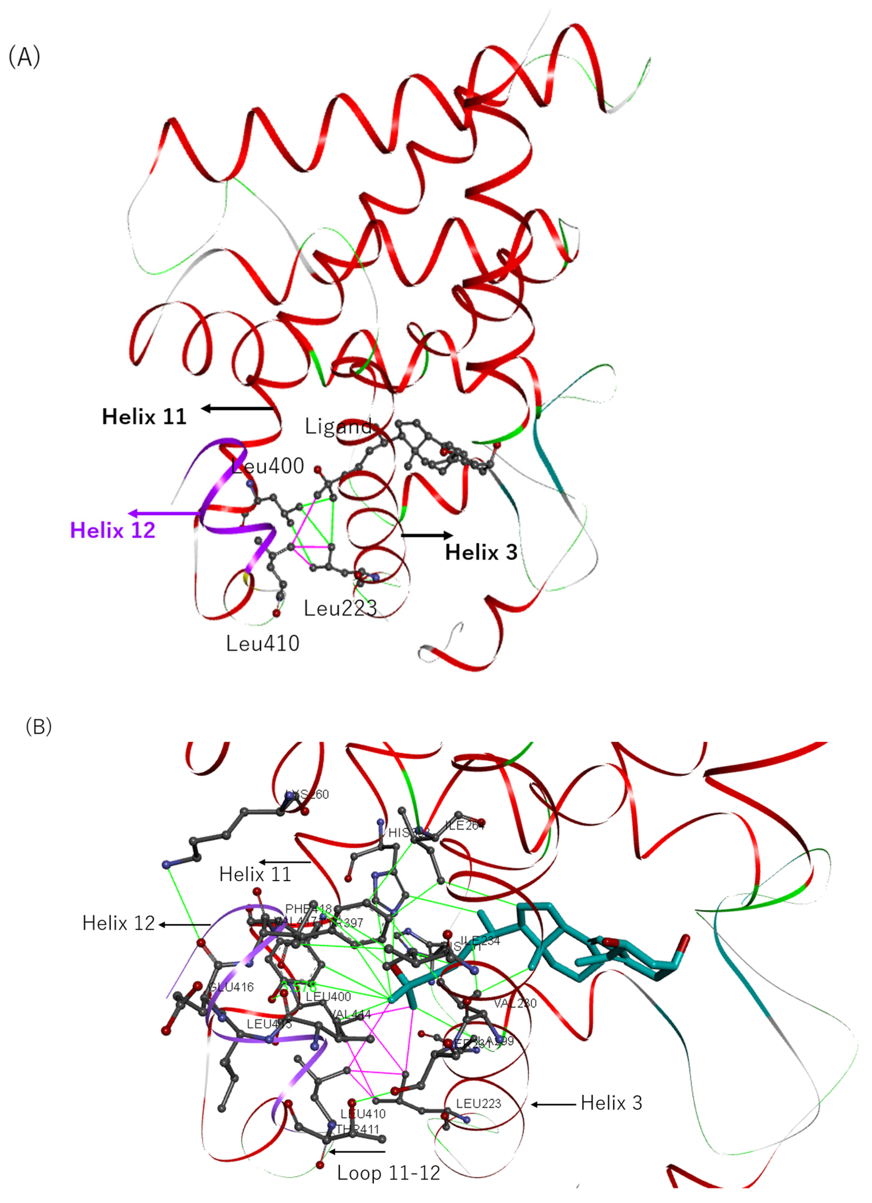 Biomolecules 13 01082 g007a