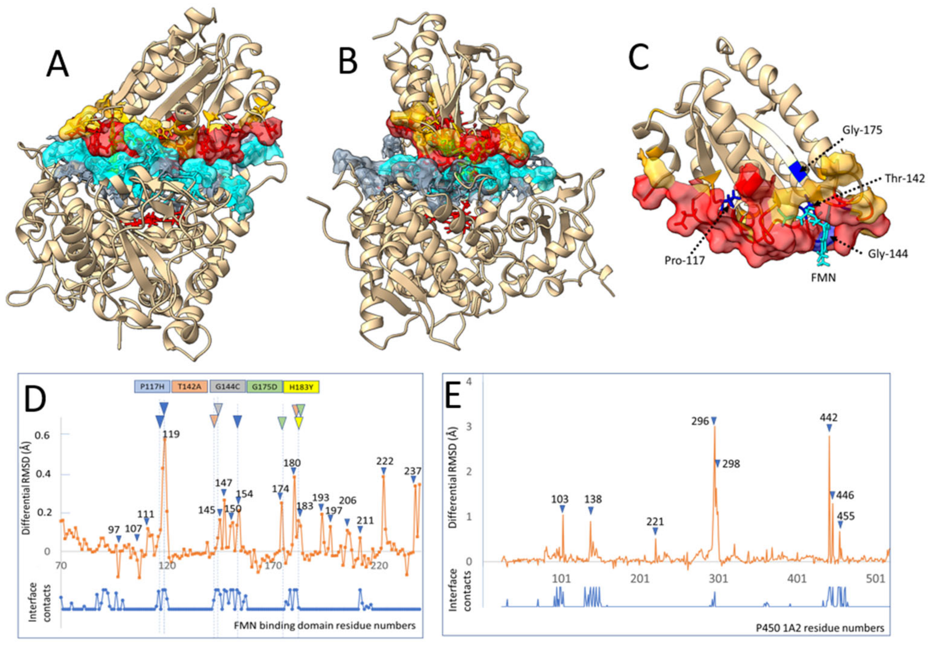 Biomolecules 13 01083 g004