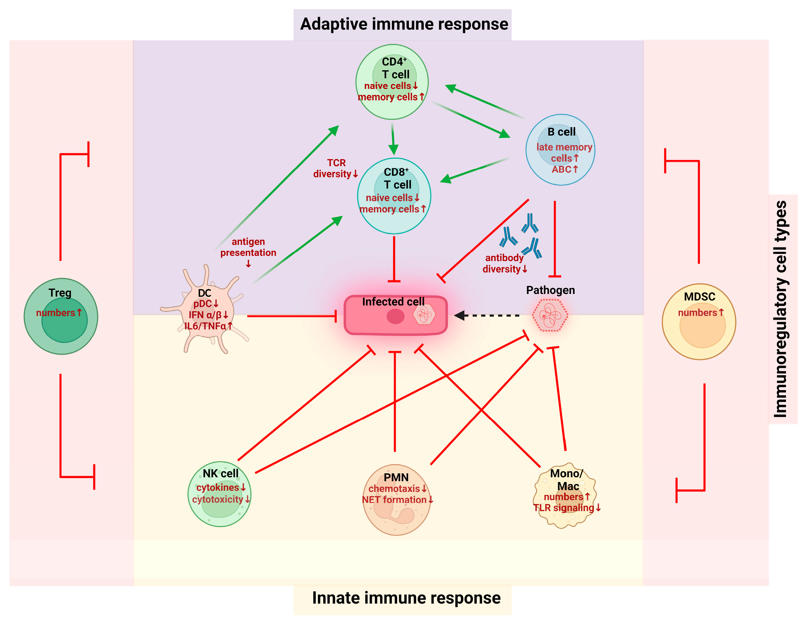 Biomolecules 13 01085 g001
