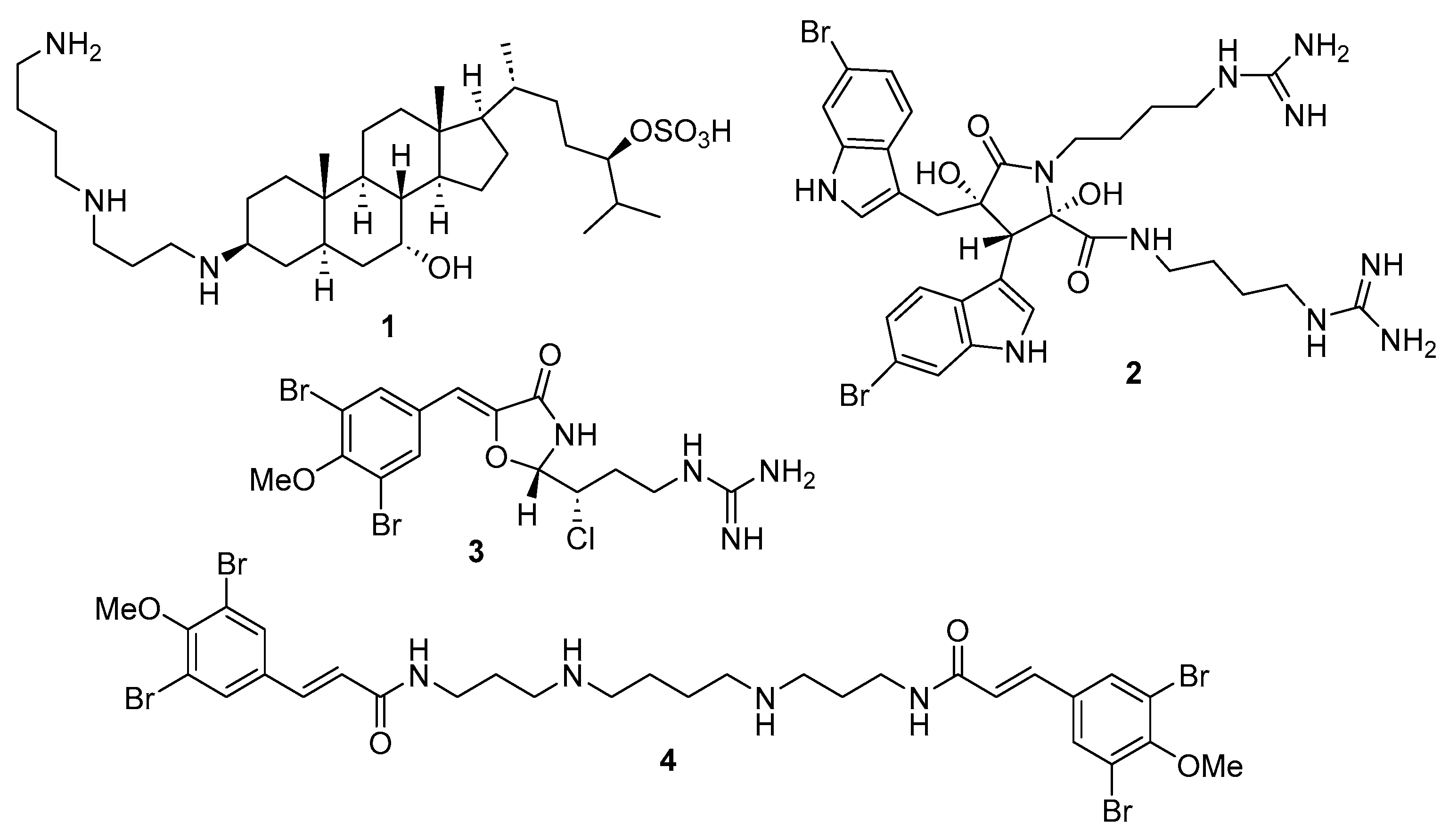 Biomolecules 13 01087 g001