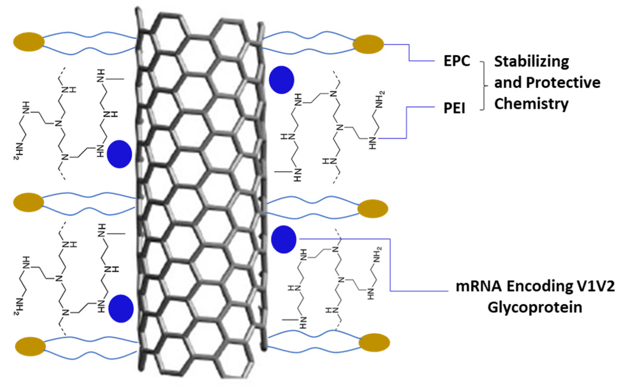 Biomolecules 13 01088 g001 Biomolecules 13 01088 g001