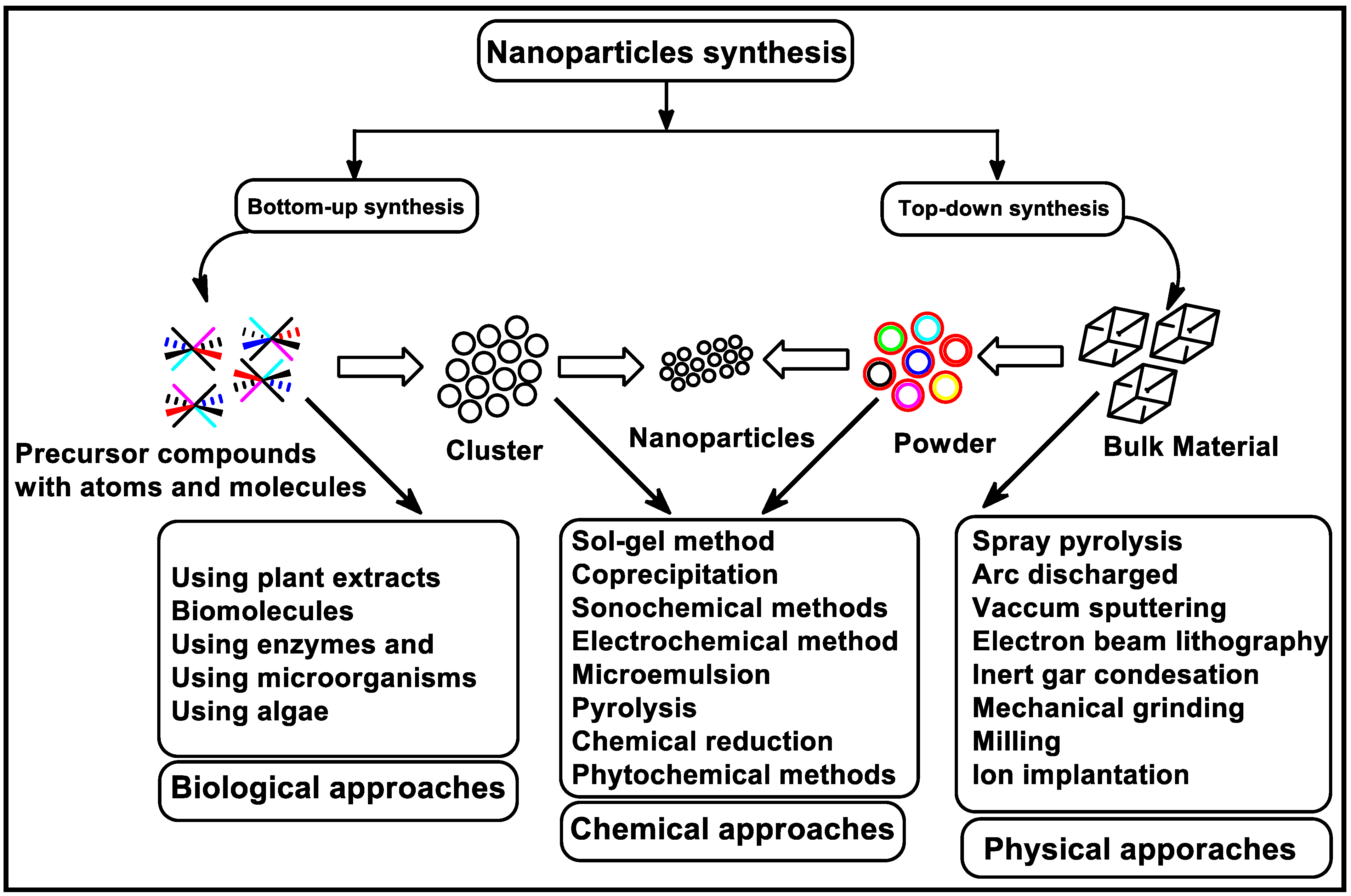 Biomolecules 13 01092 g001