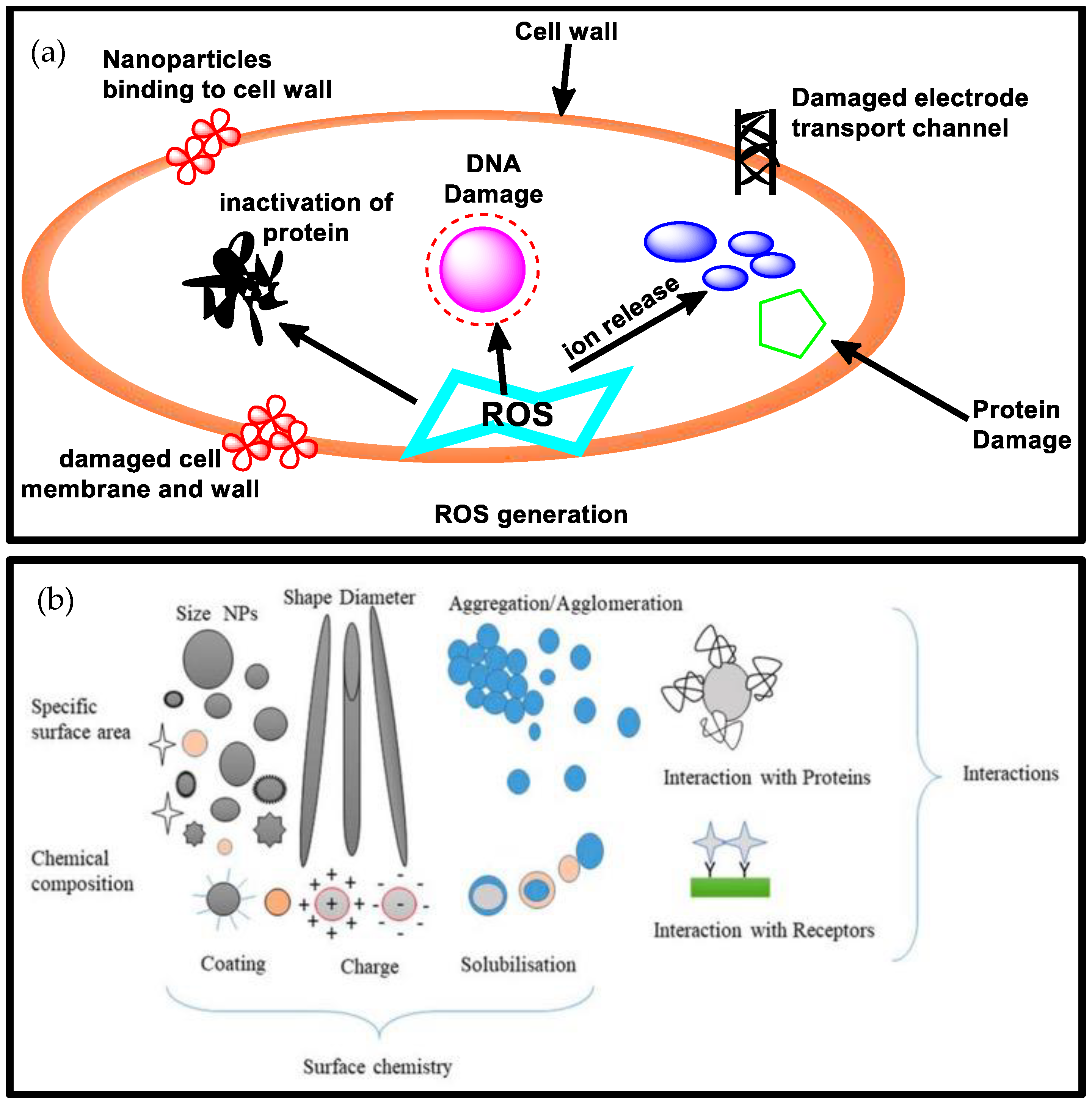 Biomolecules 13 01092 g002