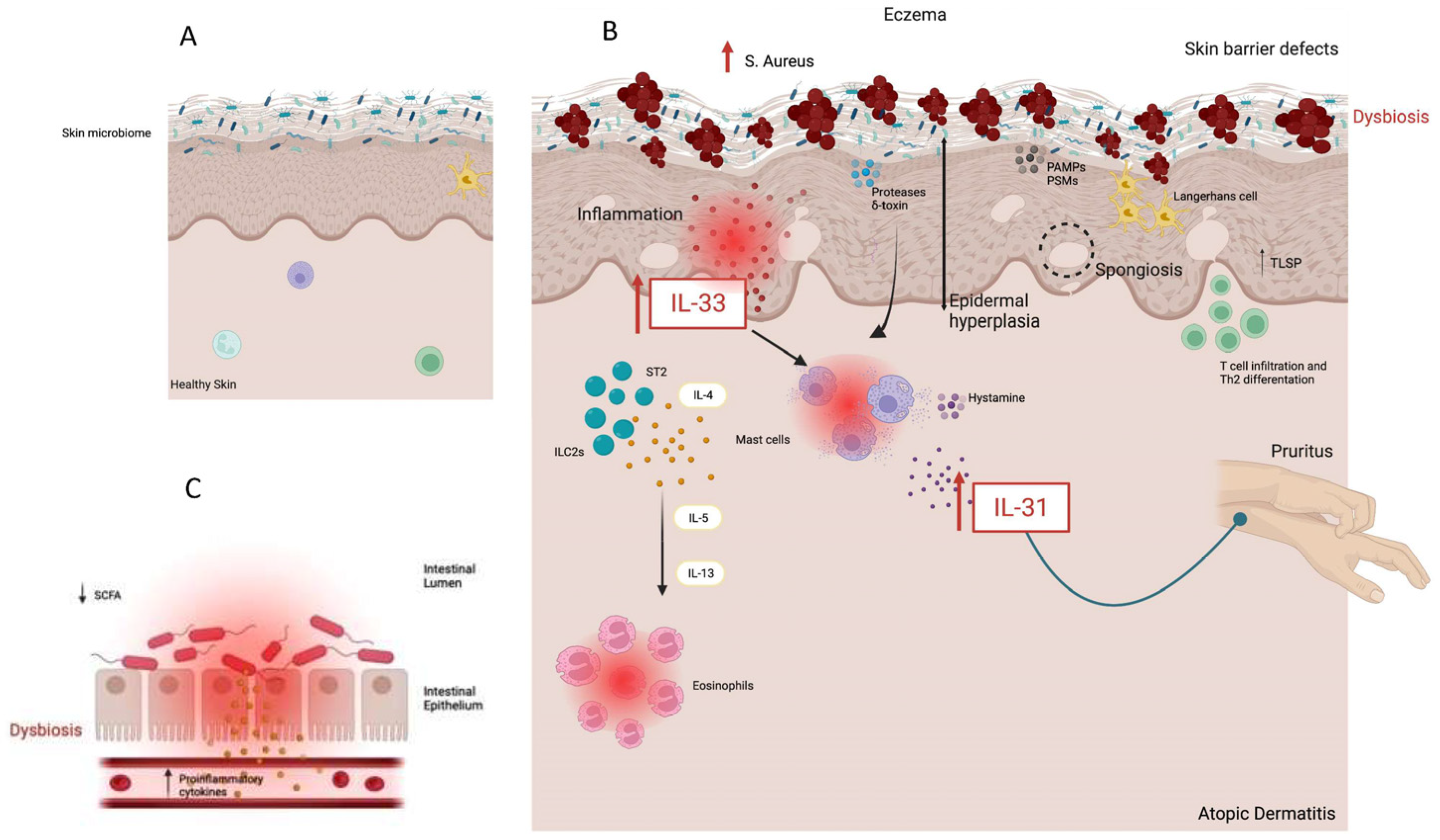 Biomolecules 13 01100 g001