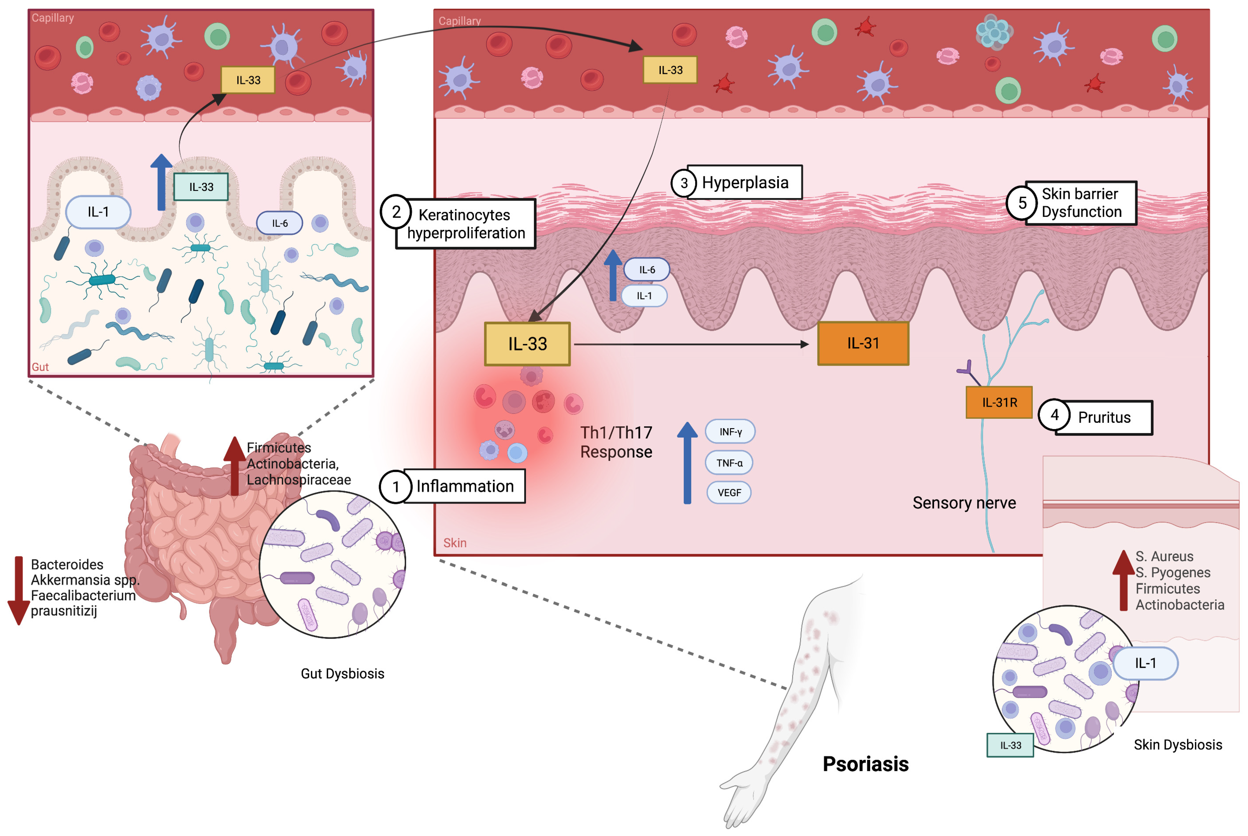 Biomolecules 13 01100 g002