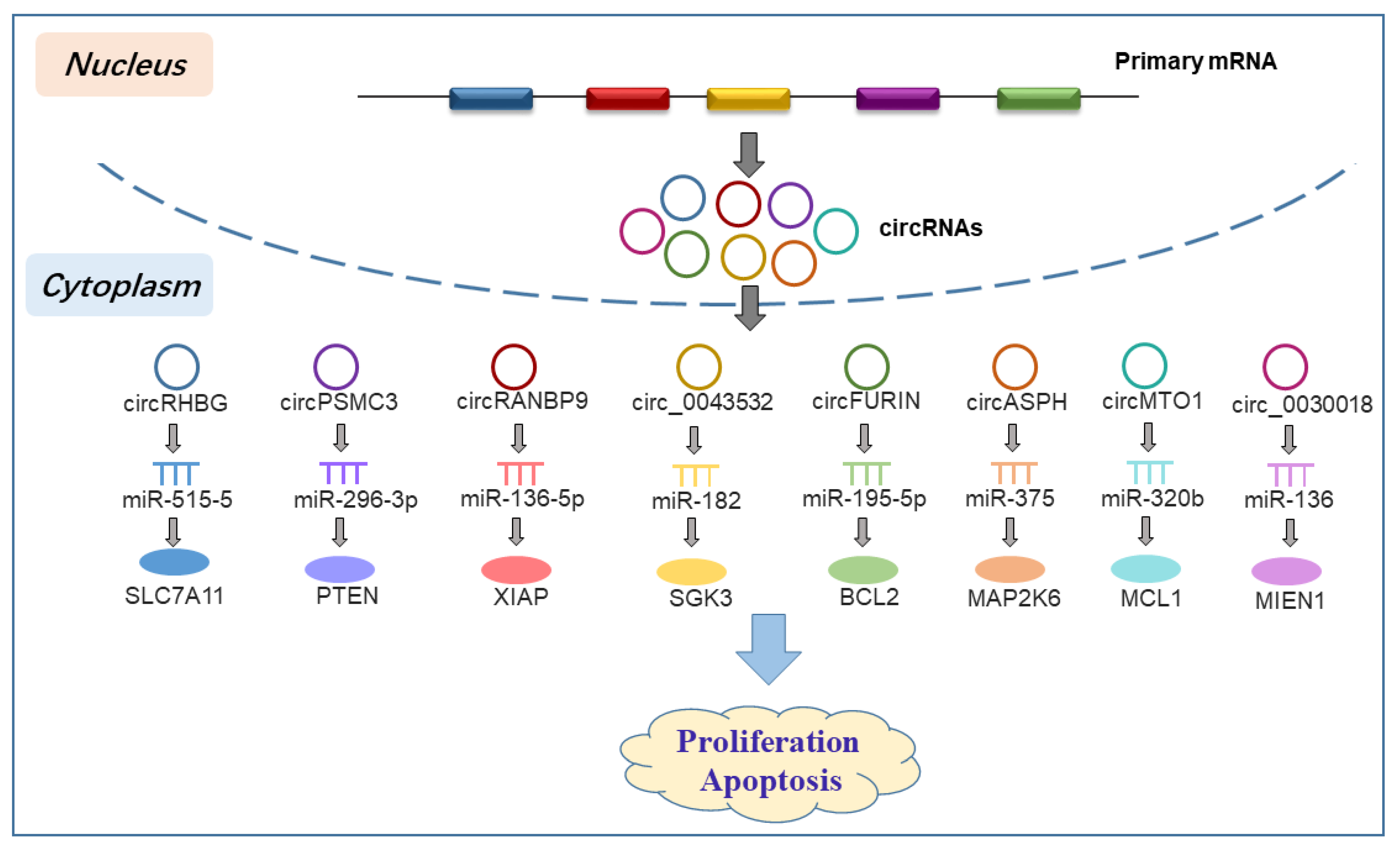 Biomolecules 13 01101 g003