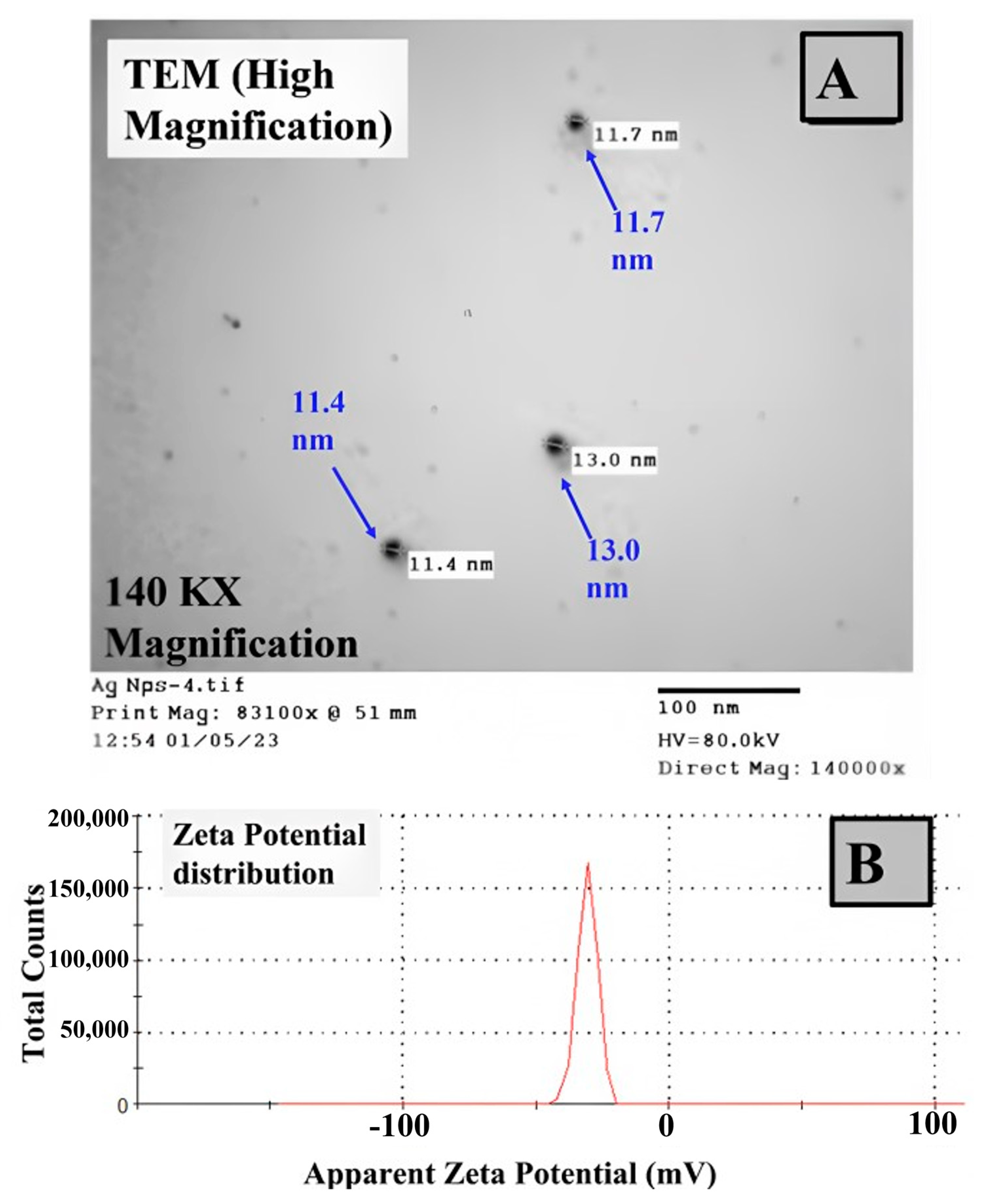 Biomolecules 13 01102 g005 Biomolecules 13 01102 g005