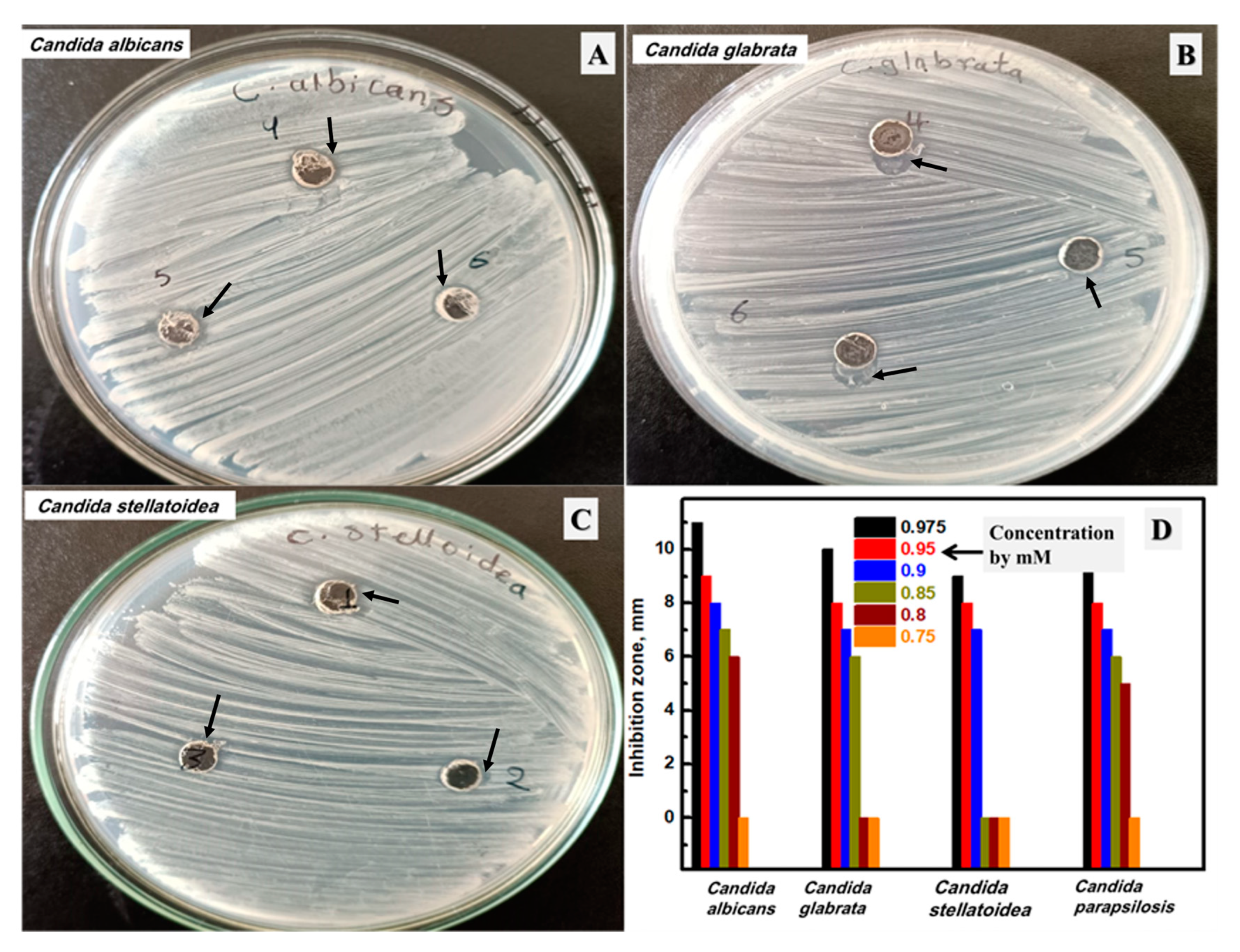 Biomolecules 13 01102 g009 Biomolecules 13 01102 g009