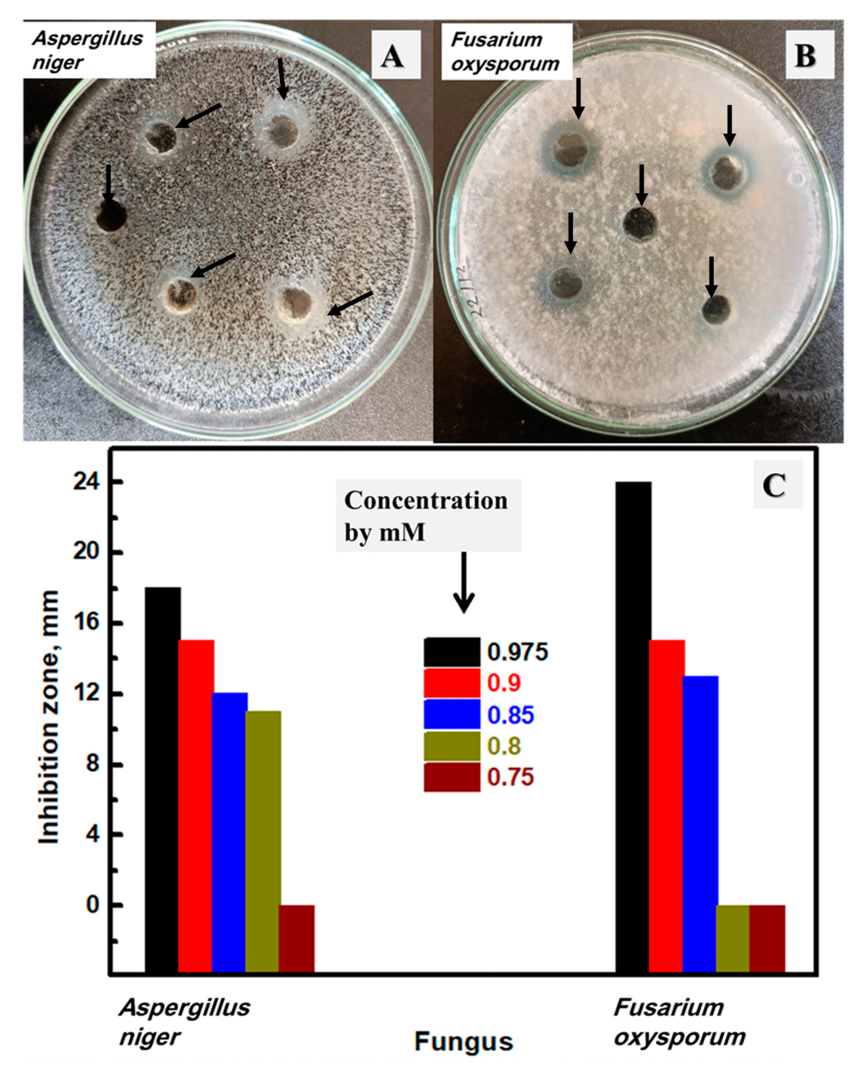 Biomolecules 13 01102 g010 Biomolecules 13 01102 g010