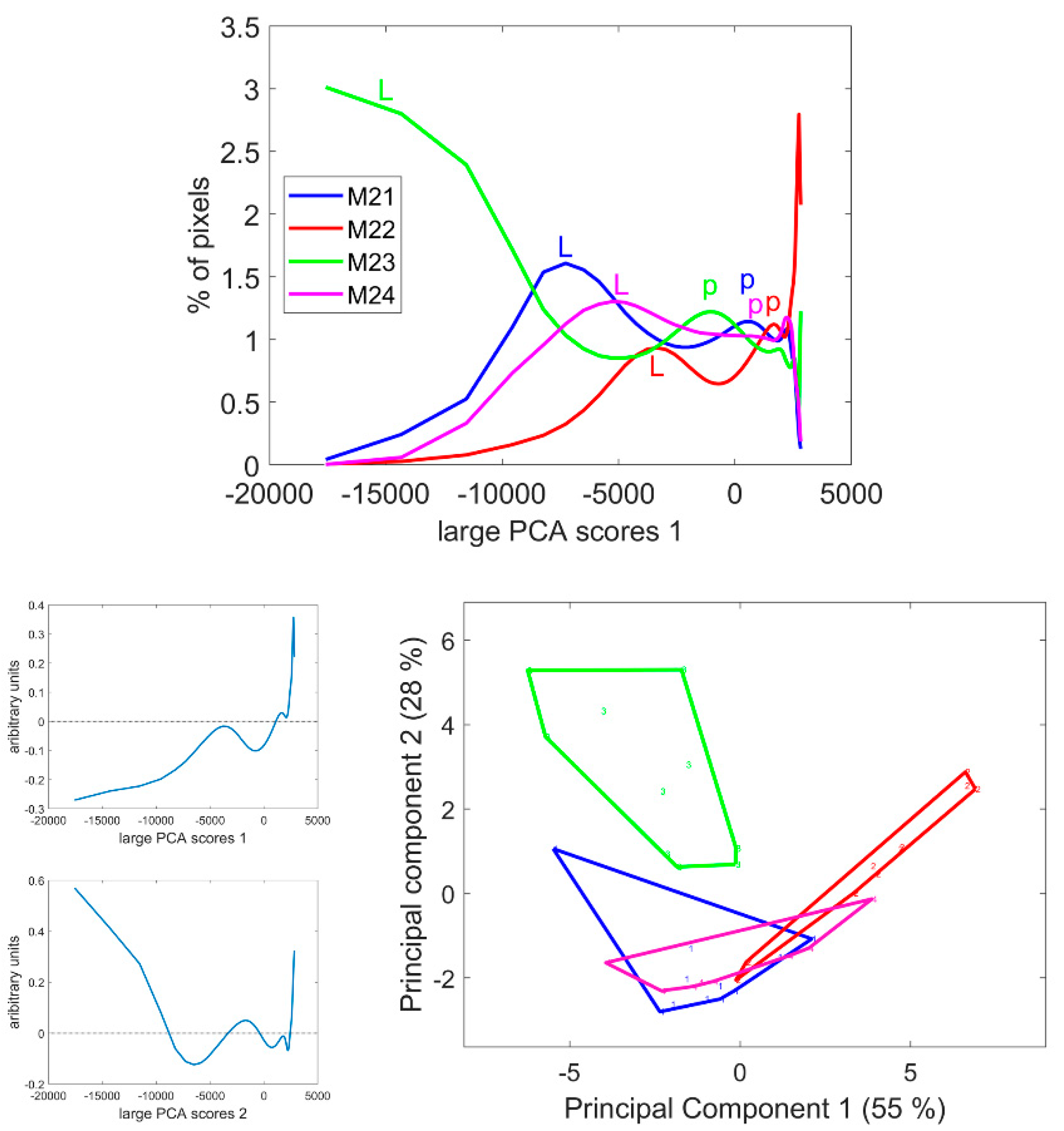 Biomolecules 13 01104 g008 Biomolecules 13 01104 g008