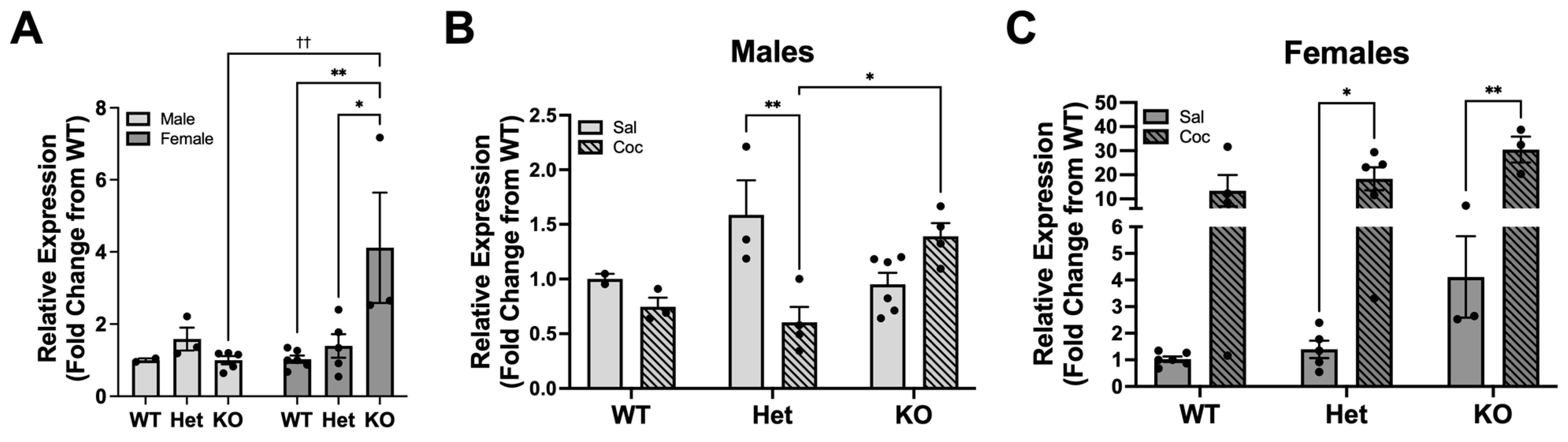 Biomolecules 13 01107 g001