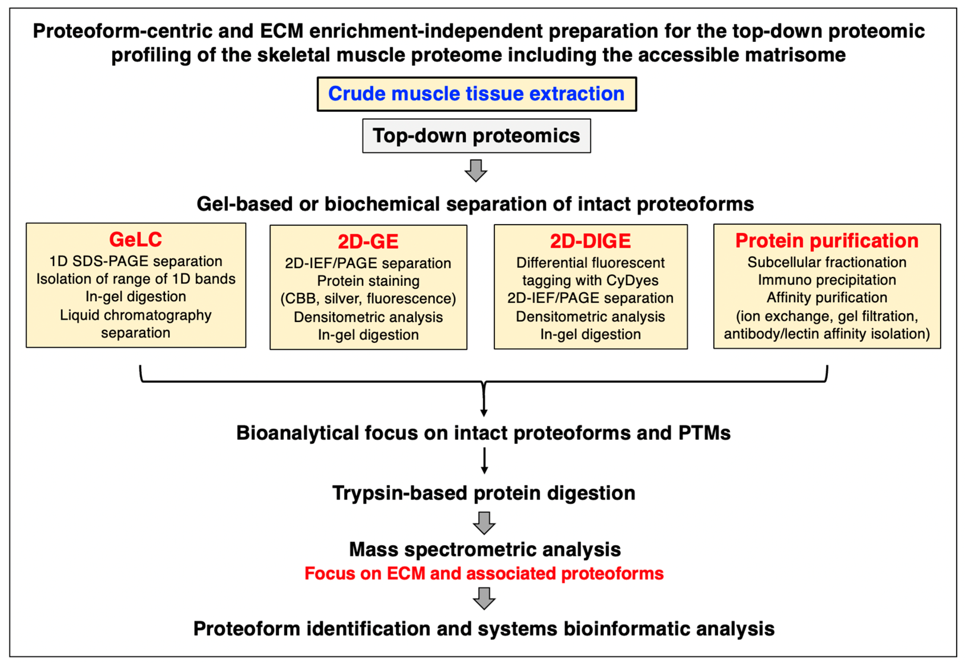 Biomolecules 13 01108 g002