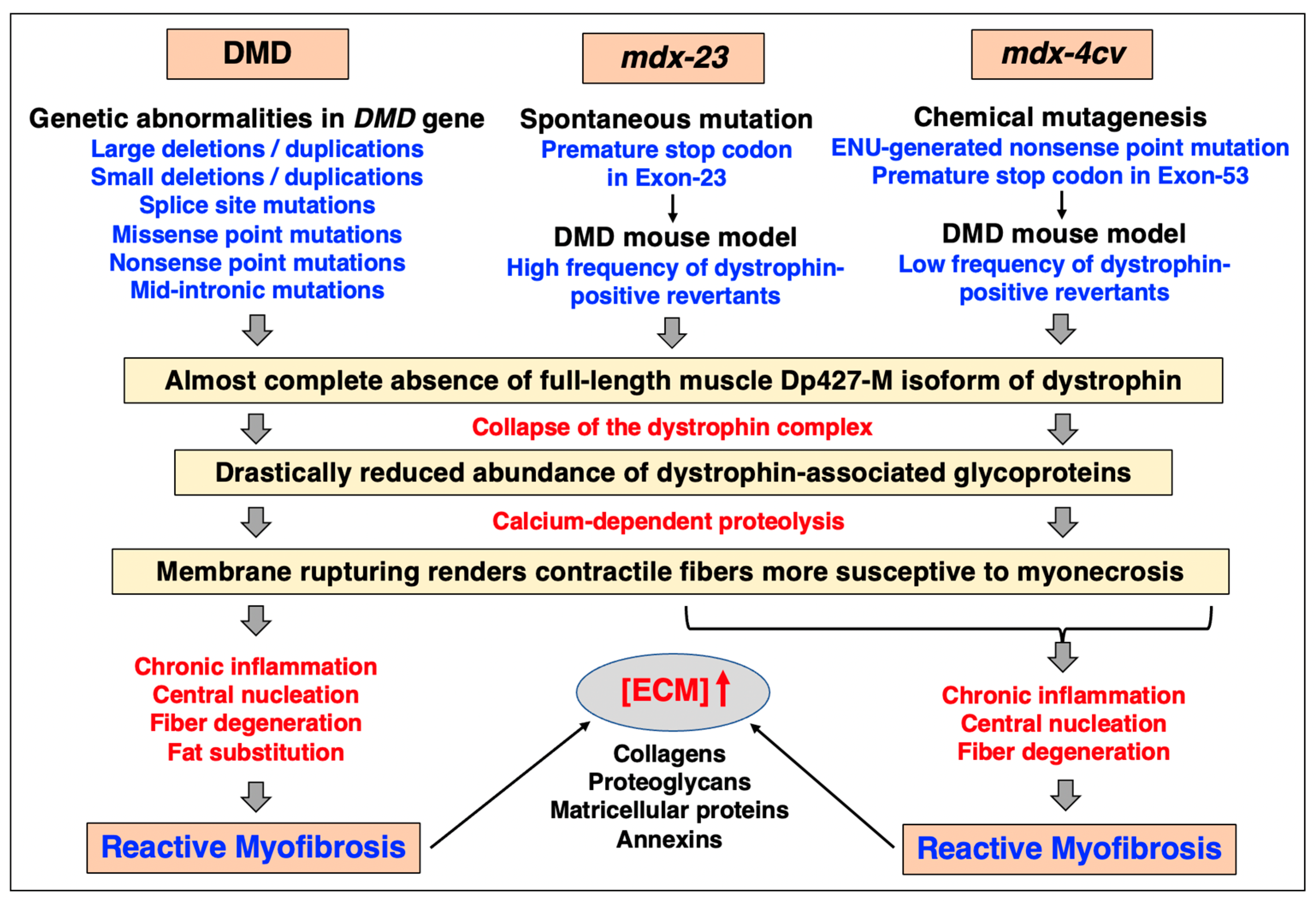 Biomolecules 13 01108 g006