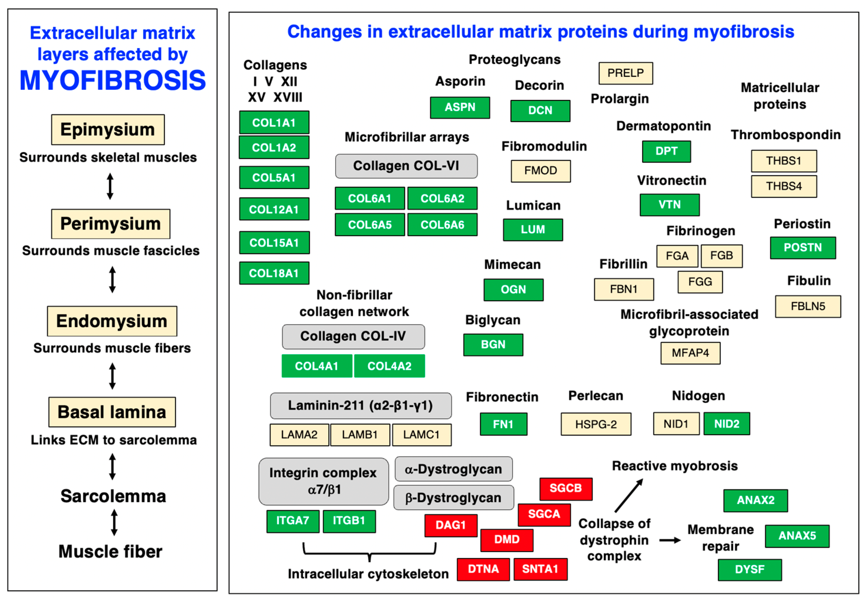 Biomolecules 13 01108 g009