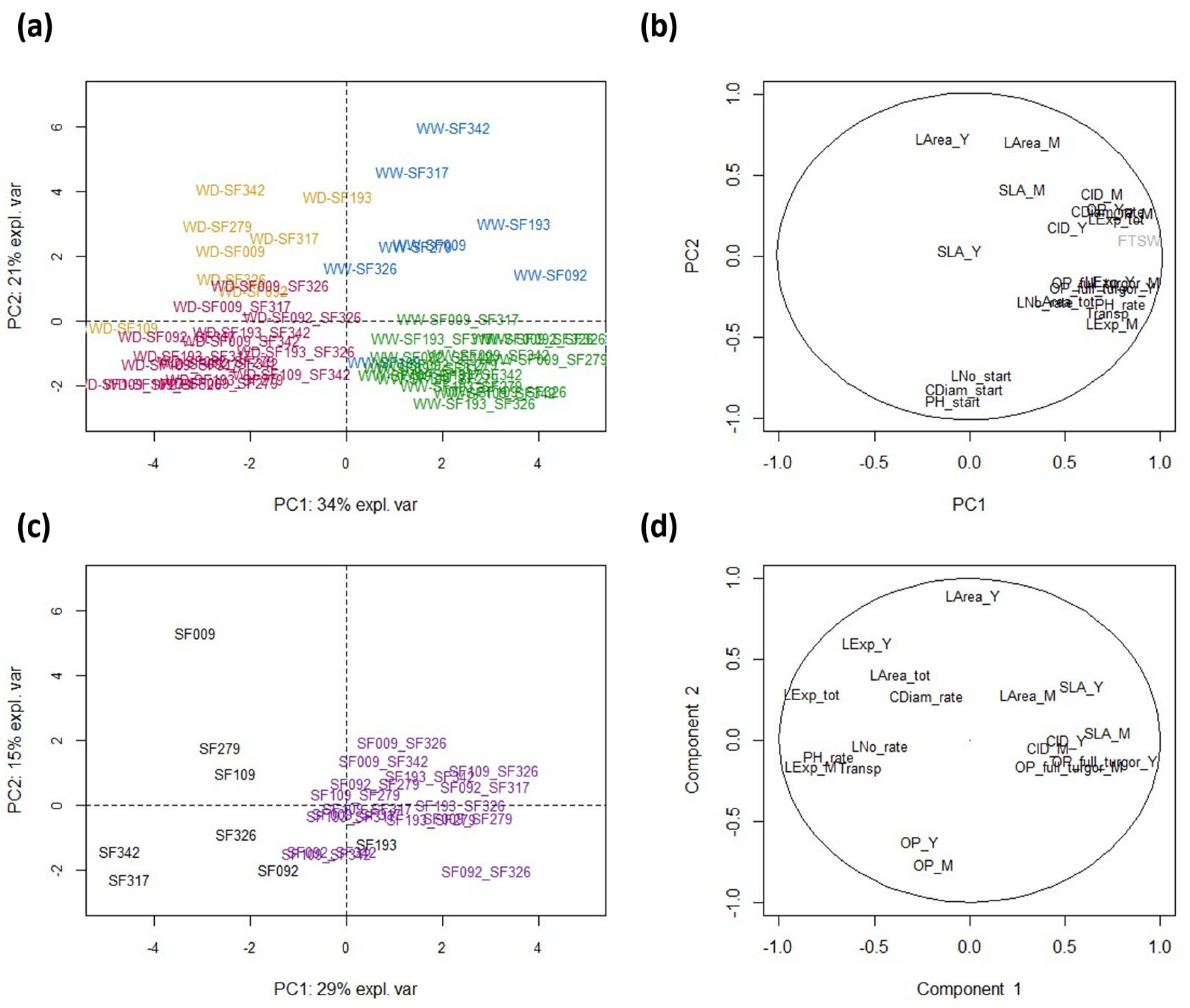 Biomolecules 13 01110 g001